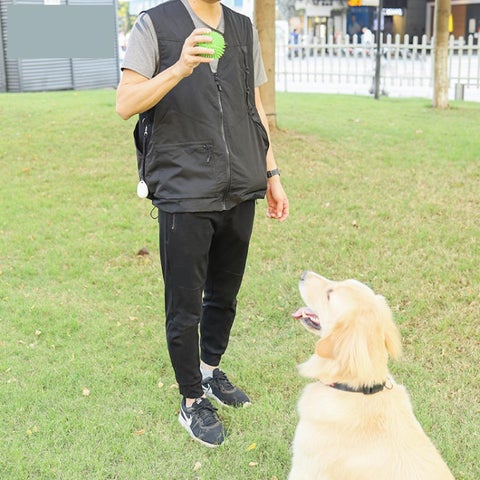 ULS-MART.COM 家具目录 · P-01 | Pet Supplies | | ulsmart2022@gmail.com 第 4 页
