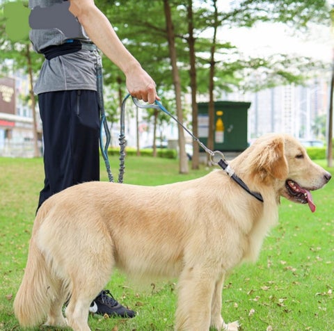ULS-MART.COM 家具目录 · P-01 | Pet Supplies | | ulsmart2022@gmail.com 第 5 页