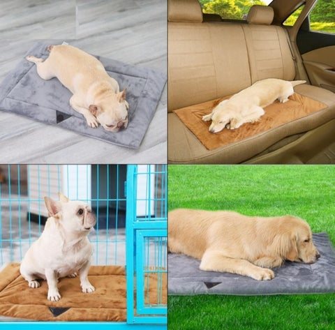 ULS-MART.COM 家具目录 · P-01 | Pet Supplies | | ulsmart2022@gmail.com 第 6 页