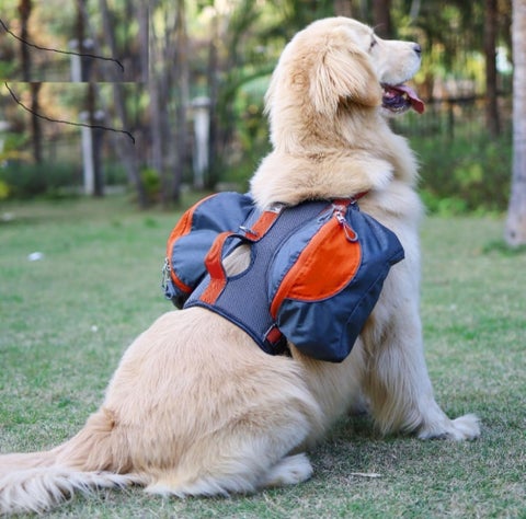 ULS-MART.COM 家具目录 · P-01 | Pet Supplies | | ulsmart2022@gmail.com 第 7 页