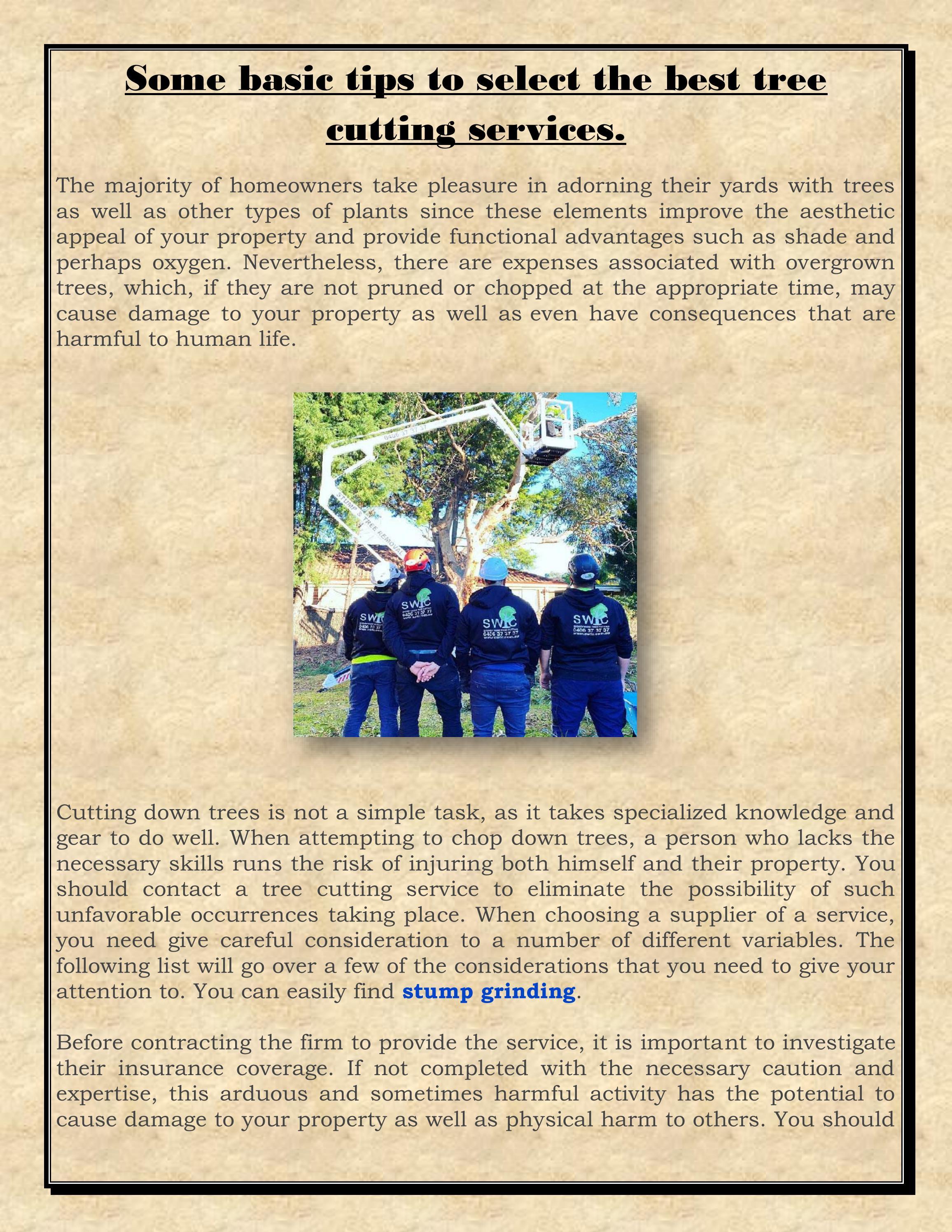 some-basic-tips-to-select-the-best-tree-cutting-services-by-sydney