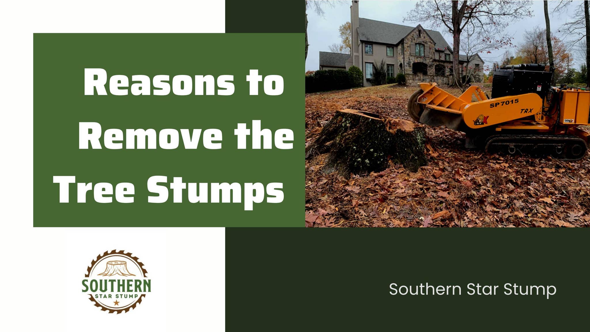 Star Stump Reasons to Remove the Tree Stumps by Southern Star Stump - Issuu