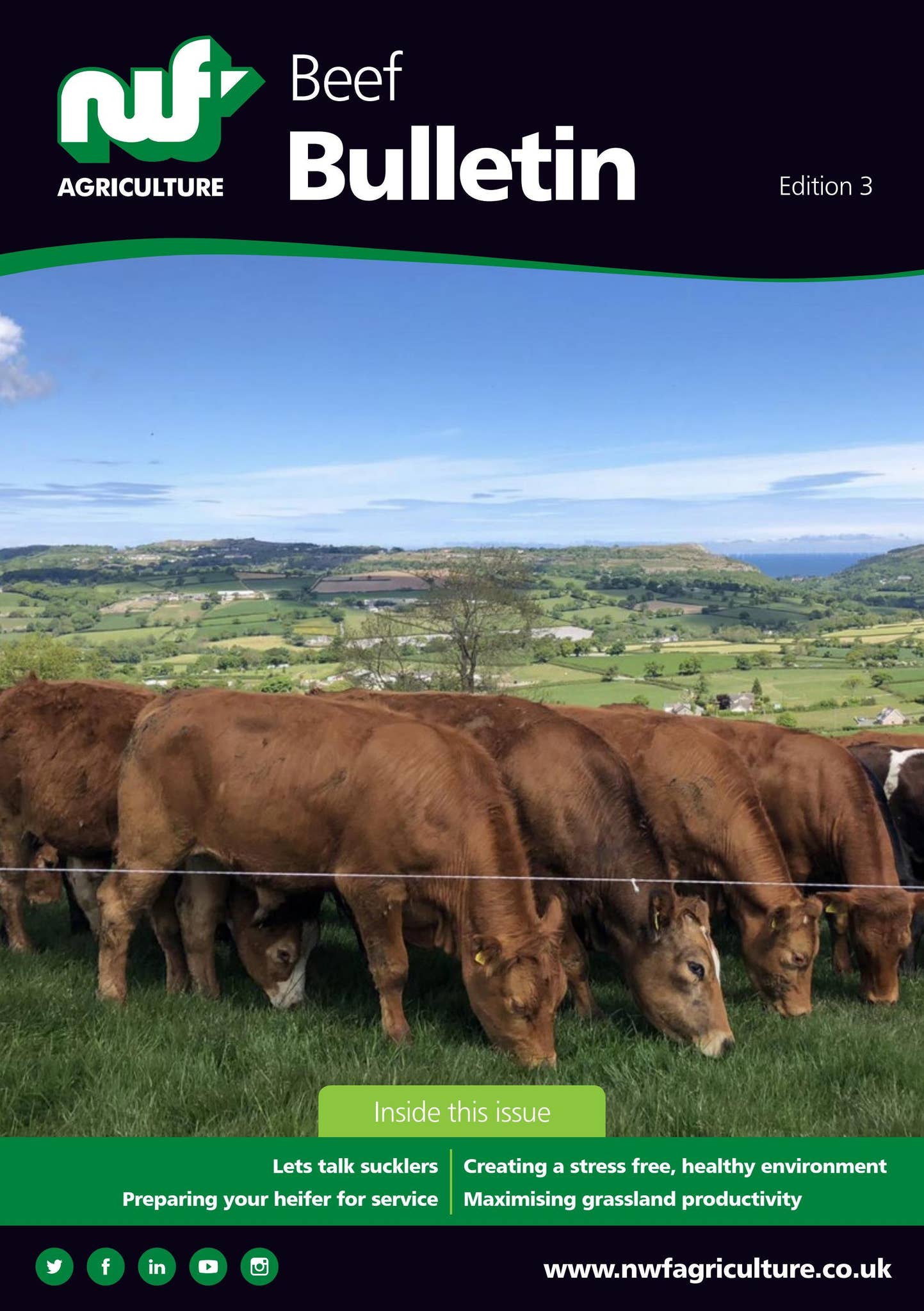 NWF Agriculture Beef Bulletin Edition 3 by NWFAgriculture - Issuu