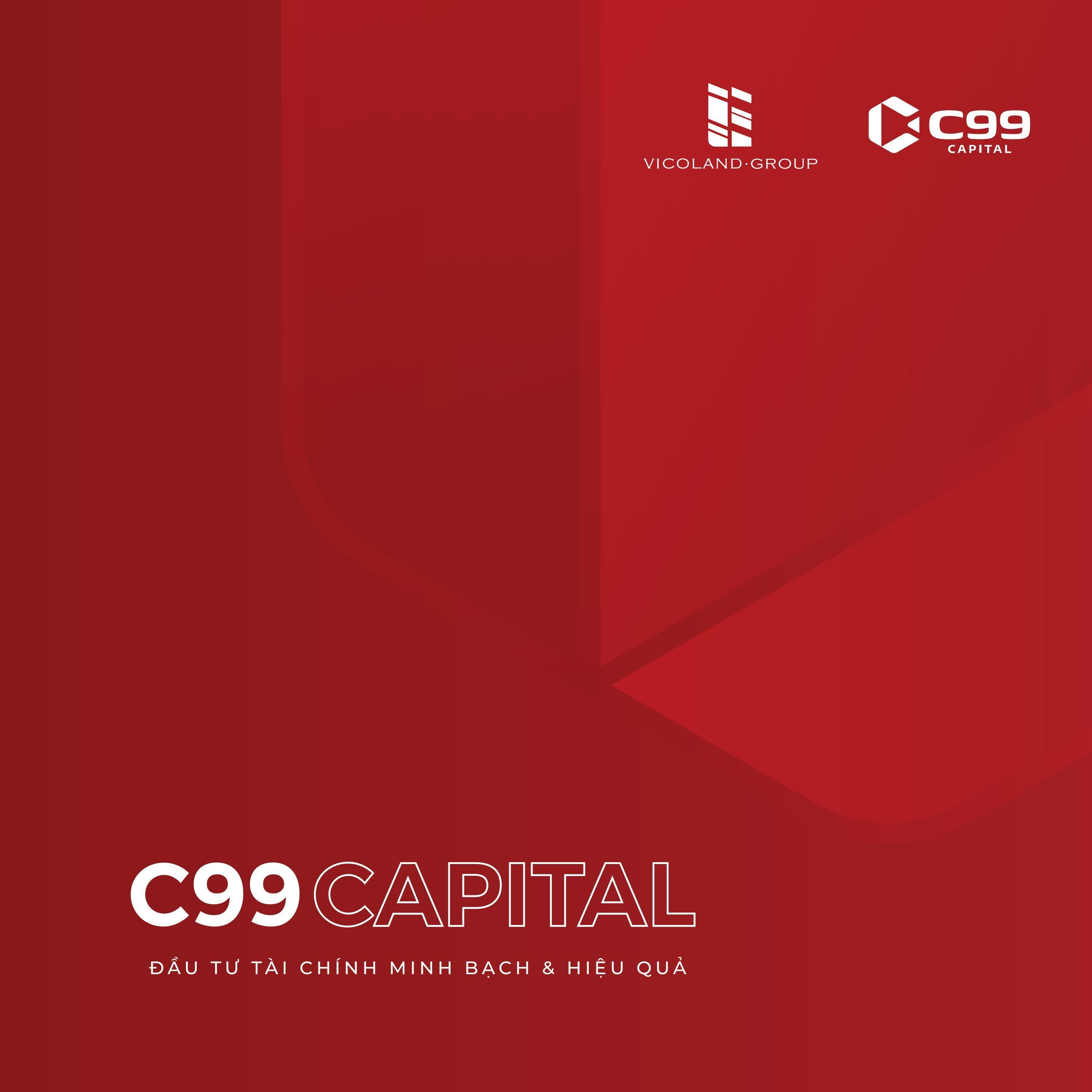 C99 BROCHURE FINAL by quyet.hndesign Issuu