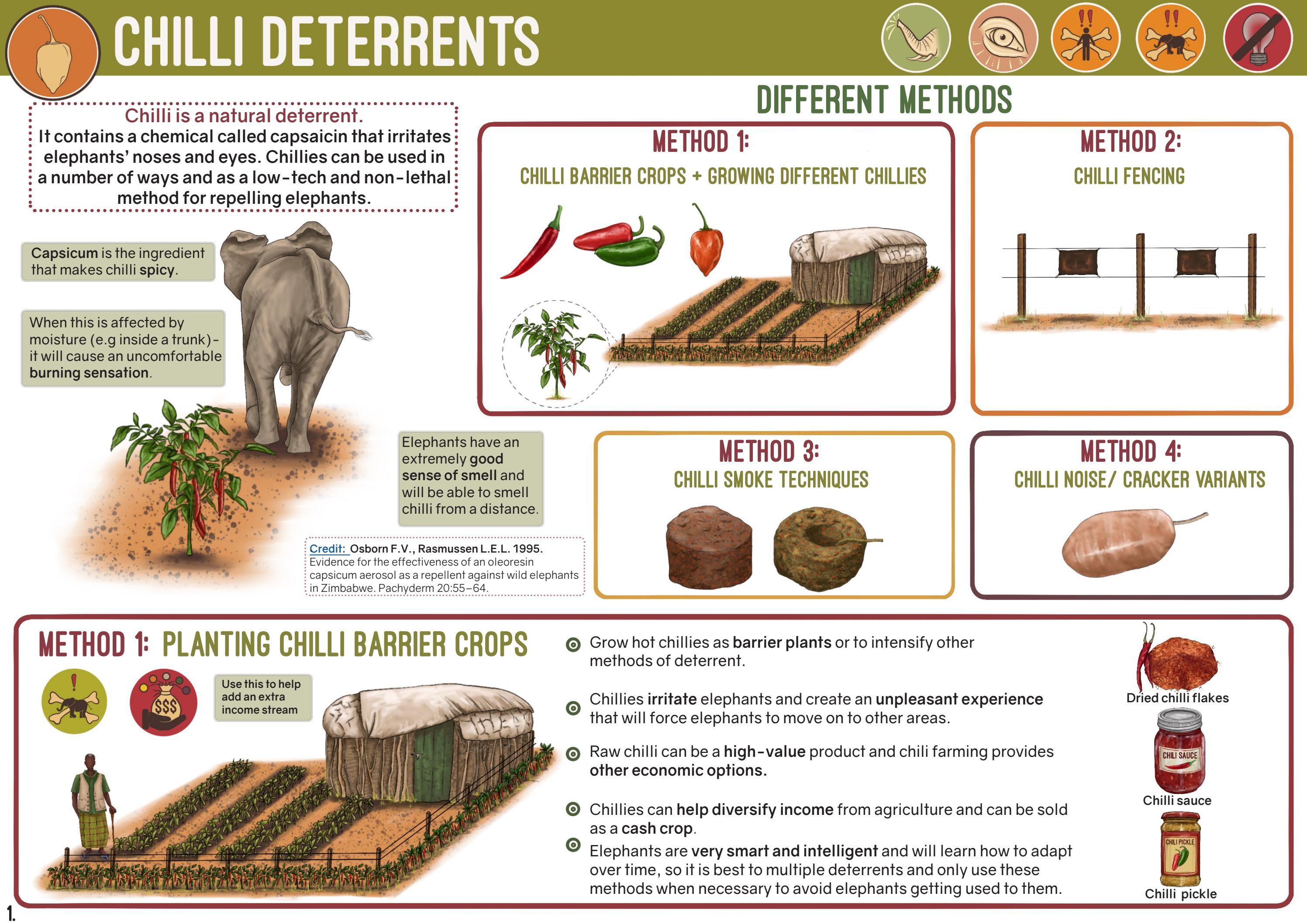 Chilli Deterrents by Save The Elephants Issuu