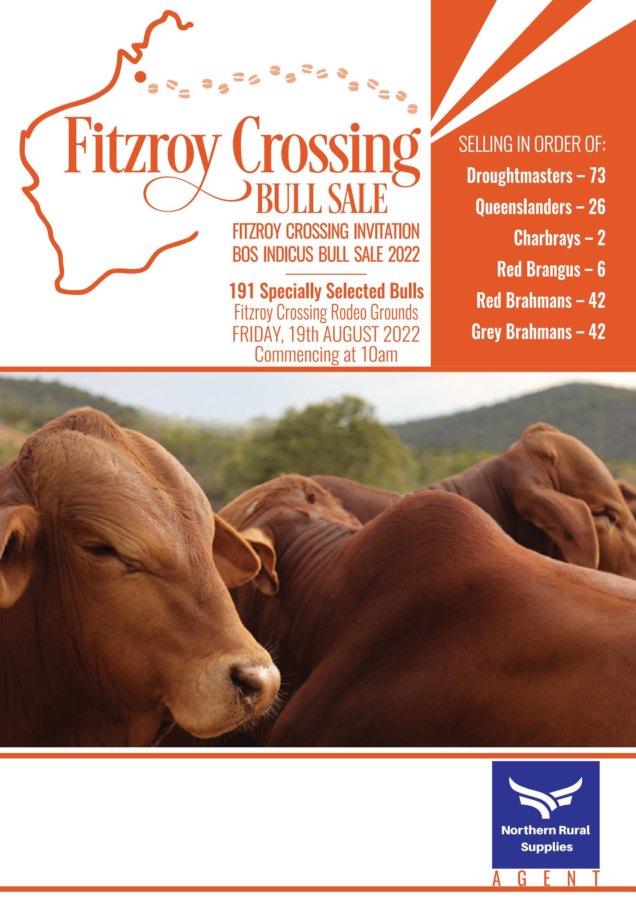 2022 Fitzroy Crossing Bos indicus Invitational Bull Sale by