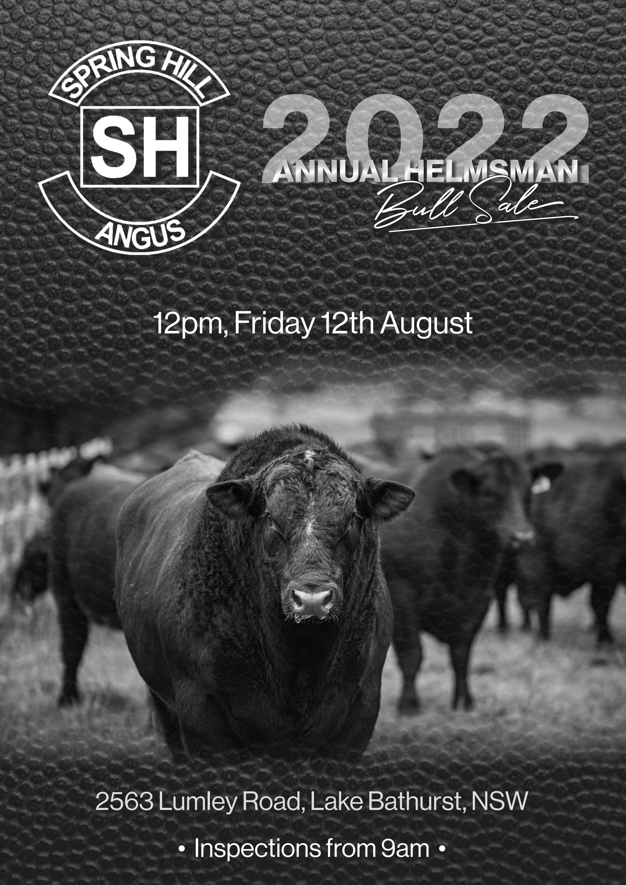 Spring Hill Angus Bull Sale 2022 by Angus Australia Issuu