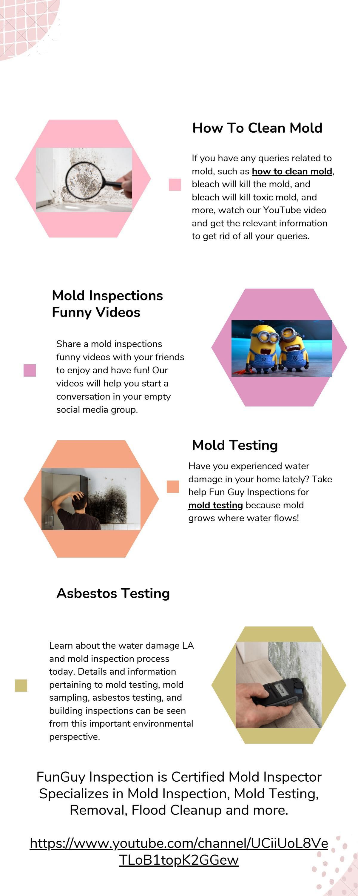 How To Clean Mold by FunGuy Mold Inspections Issuu