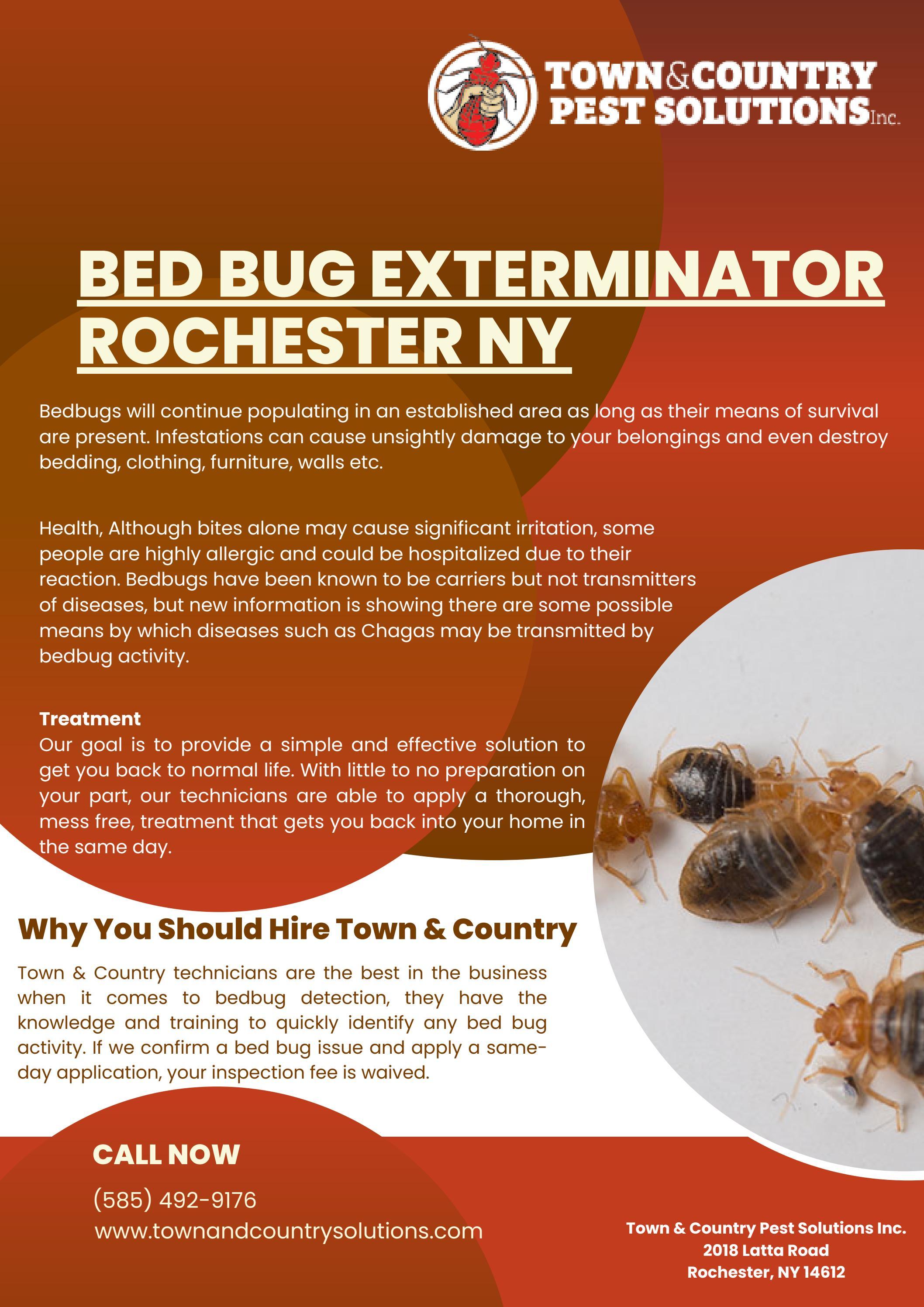 Bed bug exterminator rochester ny by infographicses Issuu