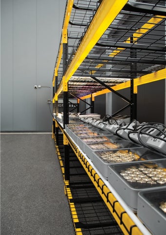 lumenpulse 灯饰目录 · EMEA - Infrastructure- 法文 第 23 页