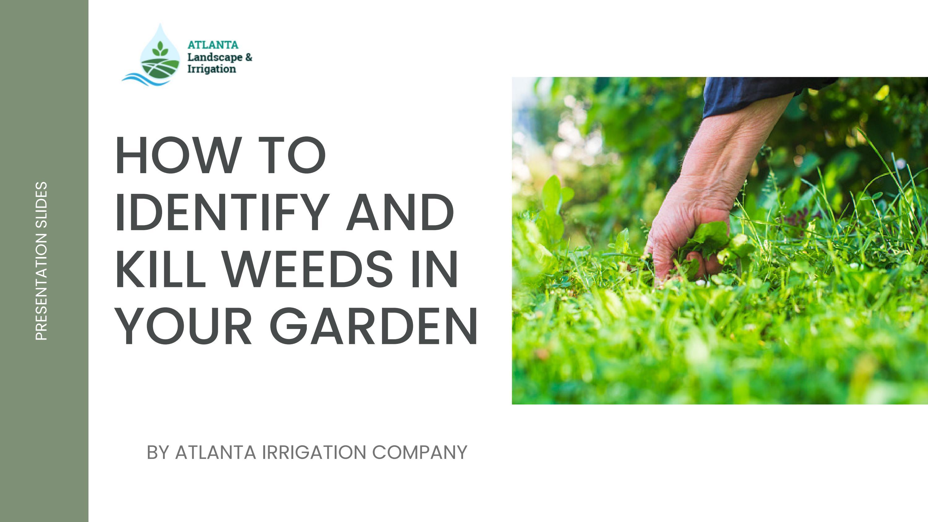 How To Identify And Kill Weeds In Your Garden by Atlanta Irrigation