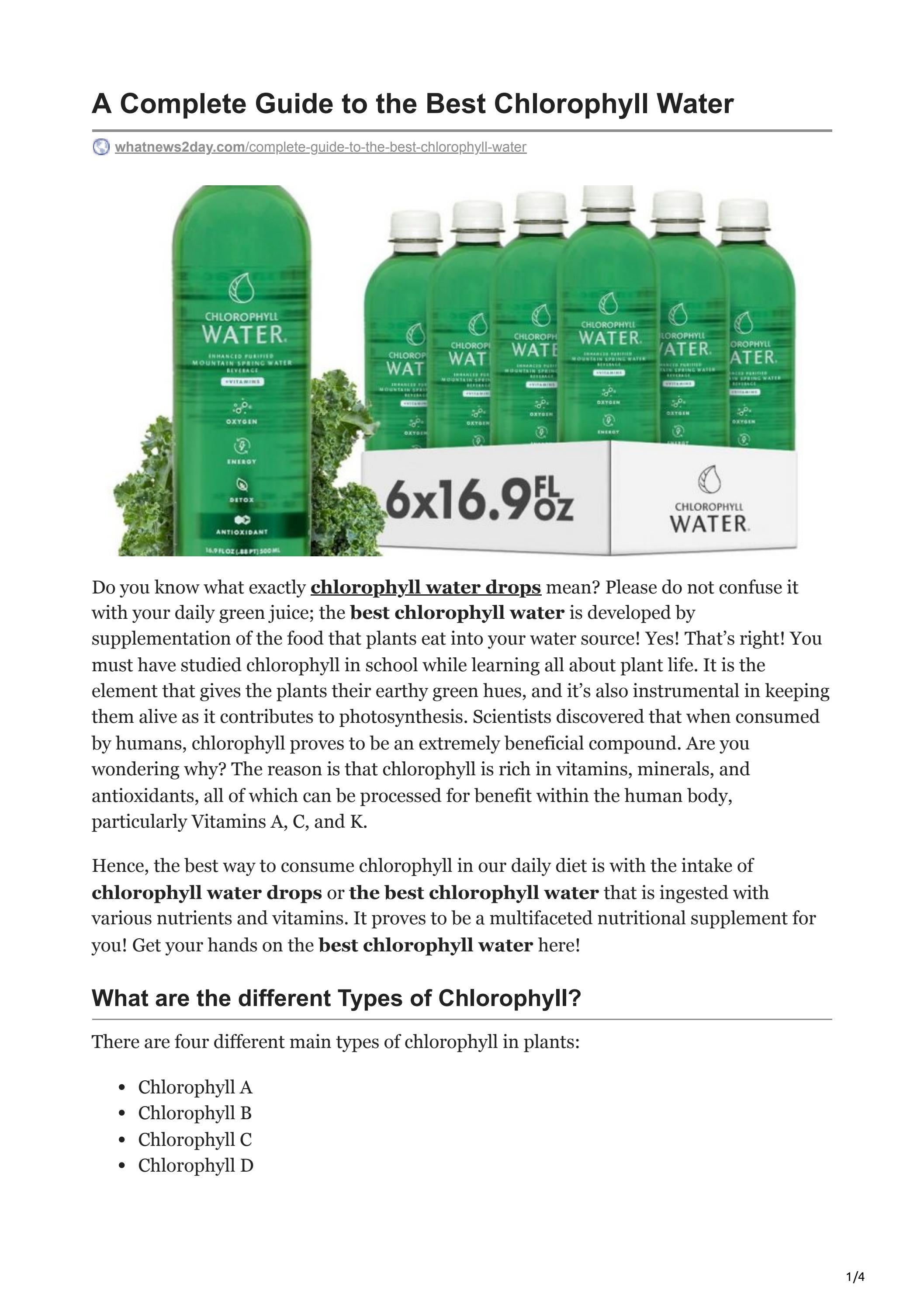 Beyond Chlorophyll: The Complete Guide To Photosynthesis - 40nk0ks