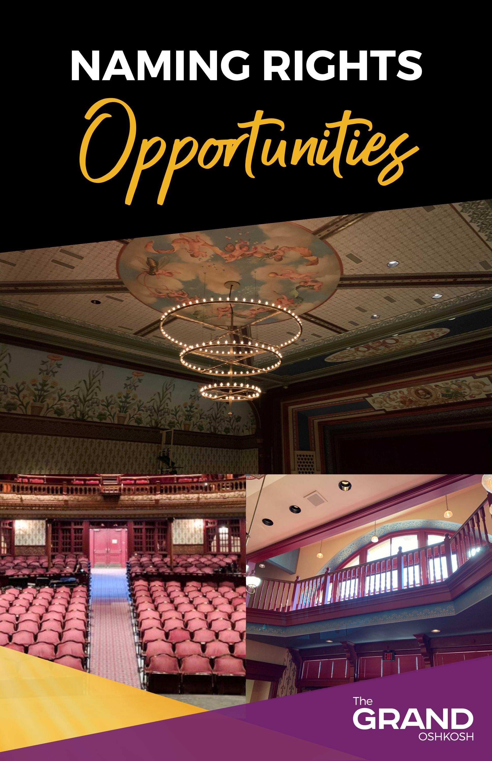 Naming Rights Digital Brochure by The Grand Oshkosh Issuu
