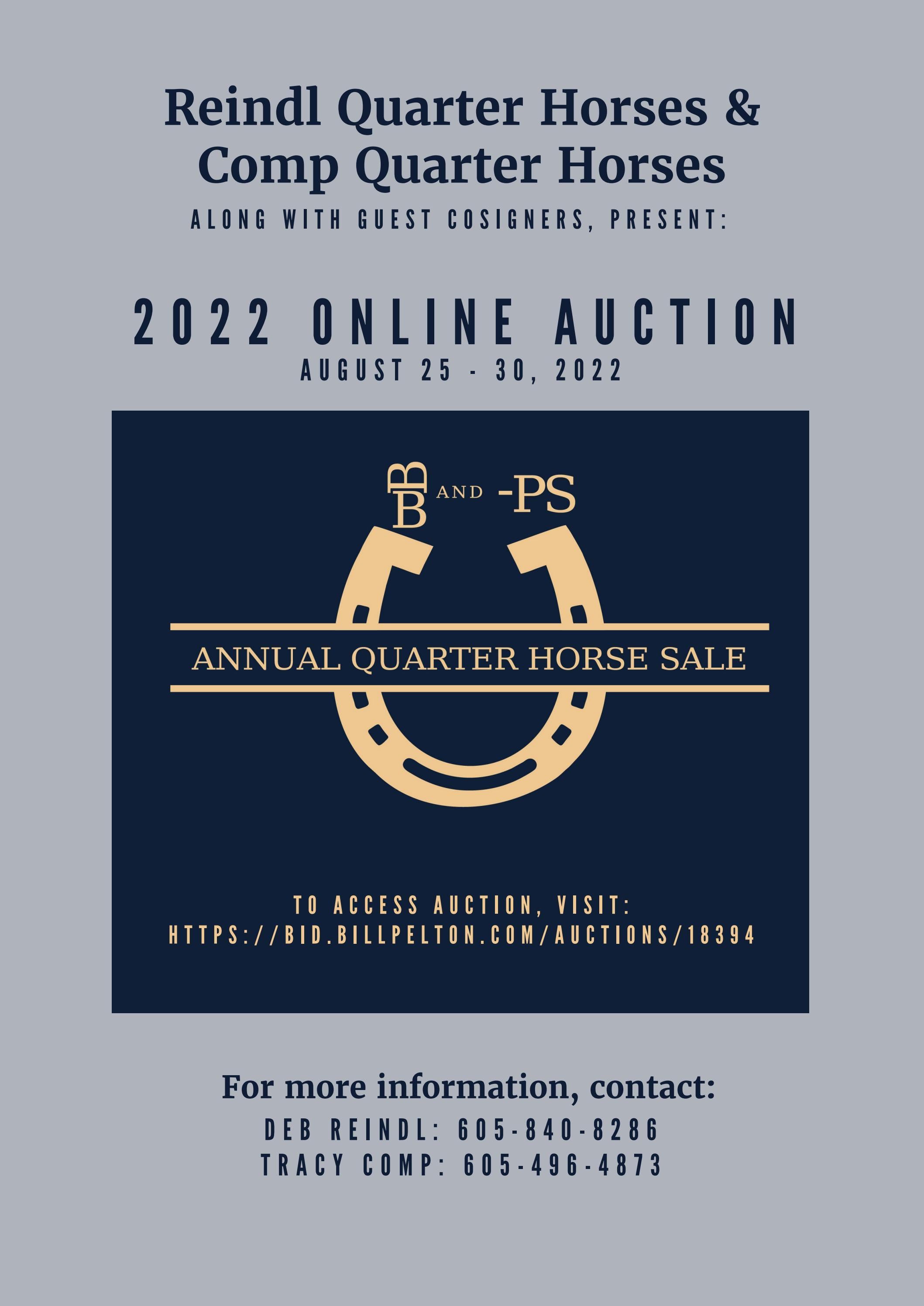 Reindl Quarter Horses & Comp Quarter Horses Sale Catalog 2022 by