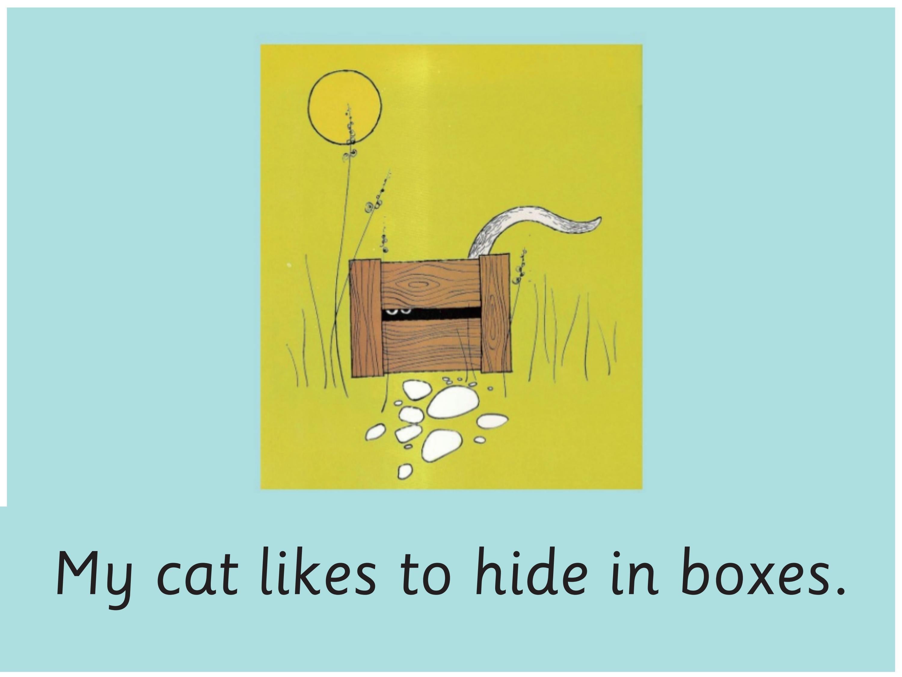 Story My cat likes to hide in boxes by Duyet Quang Issuu
