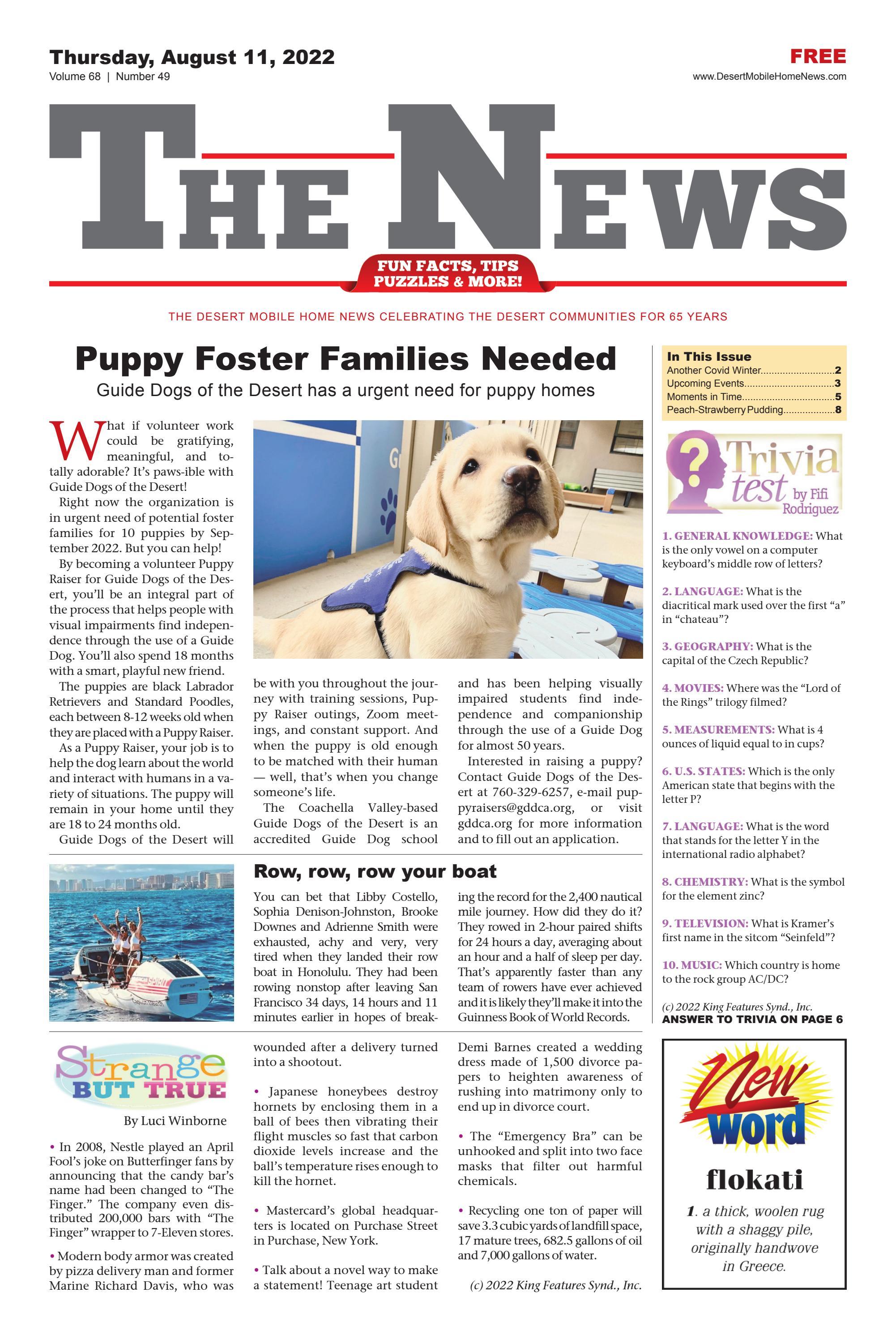 DMHN_EDITION_1.pdf by Brehm Communications - Issuu
