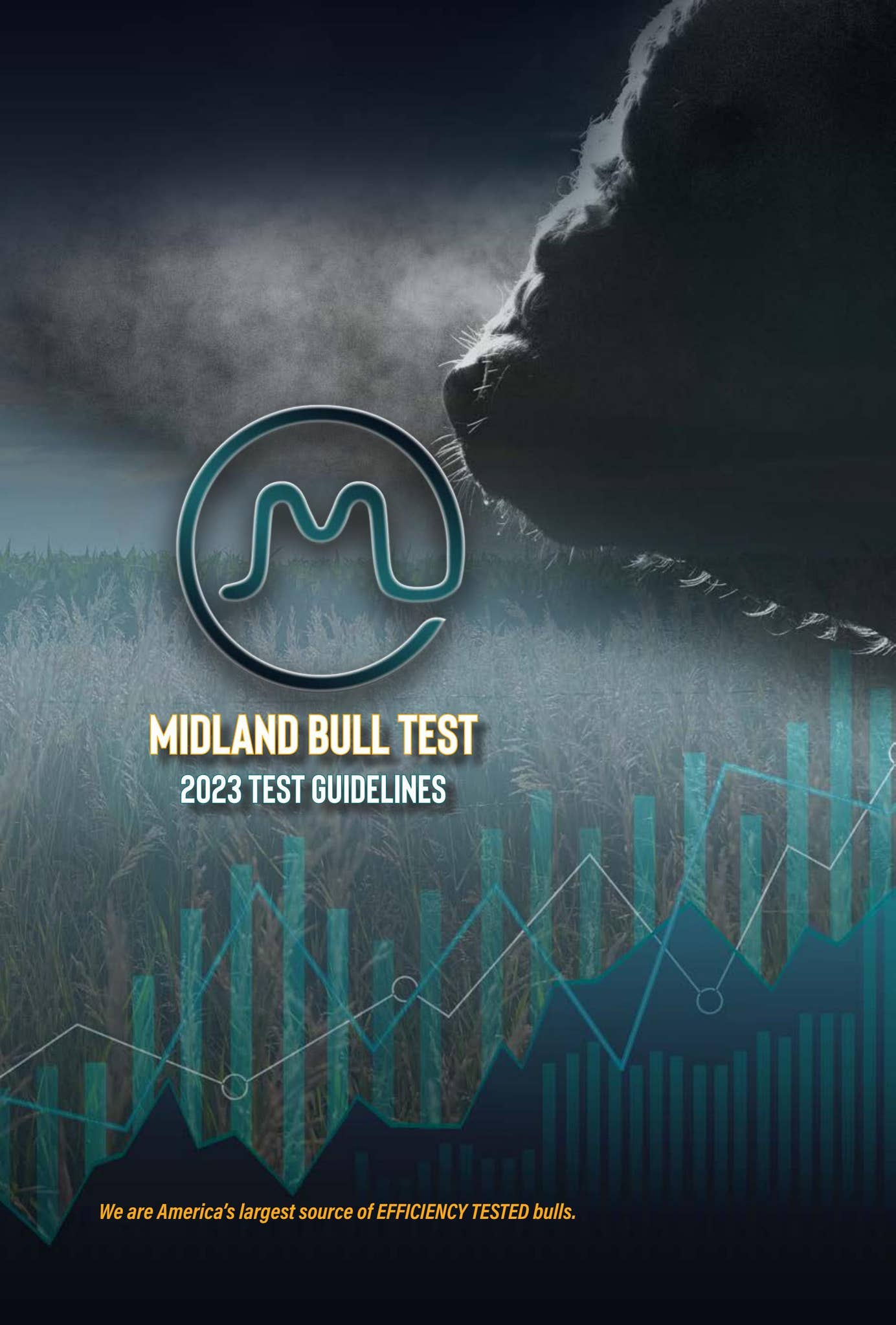 Midland Bull Test 2023 Test Guidelines by LivestockDirect Issuu
