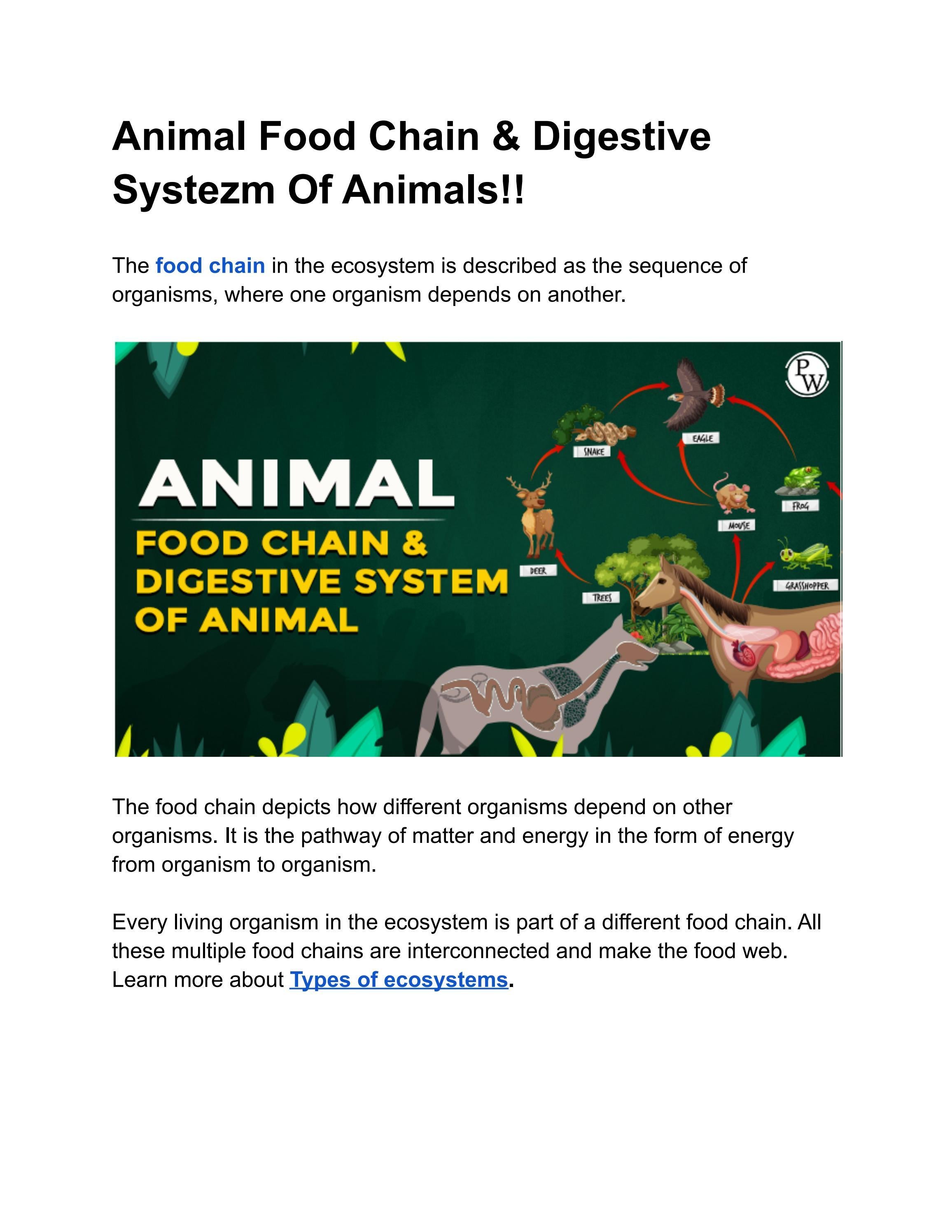 Animal Food Chain & Digestive System Of Animals!! by Brijesh Sharma Issuu