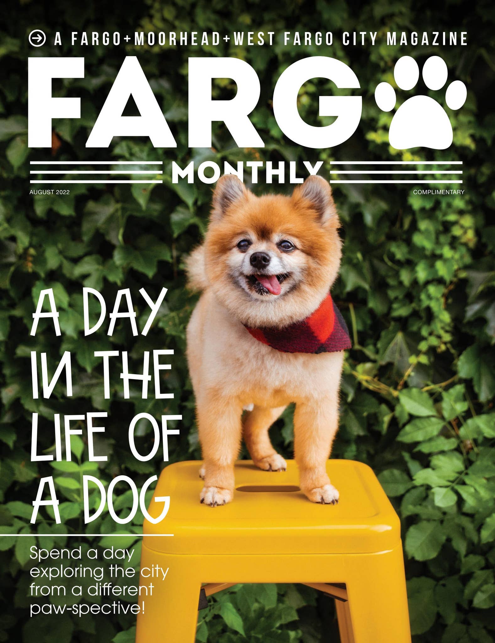 Fargo Monthly August 2022 by Spotlight Media - Issuu, image size:1577x2048