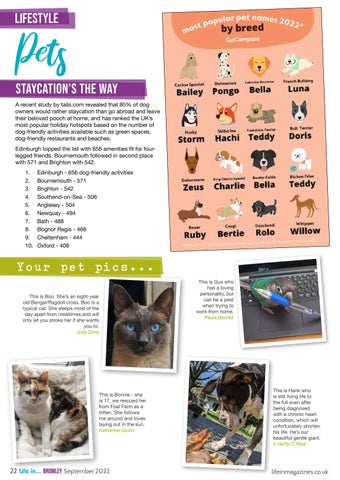 Page 22