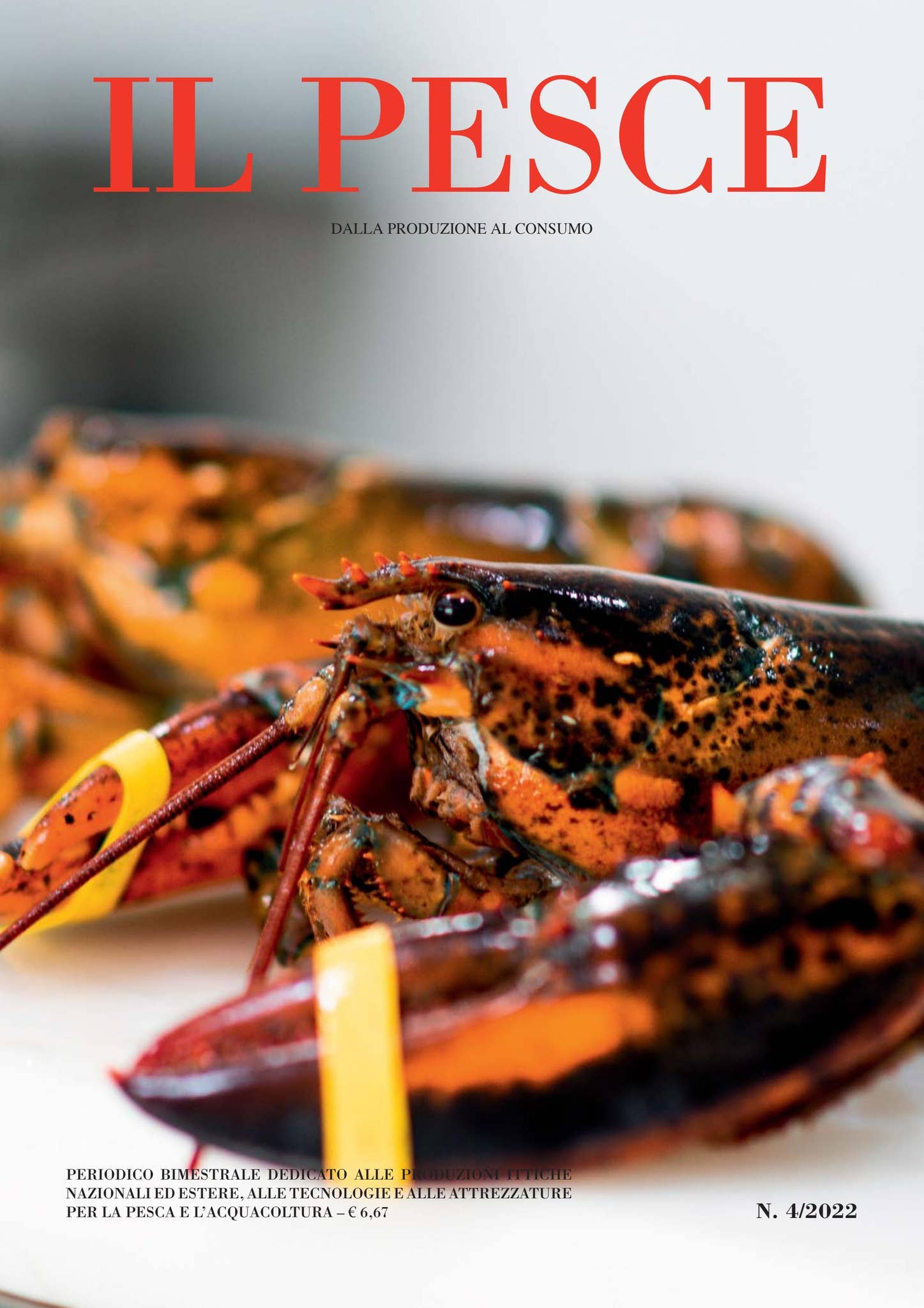 Caramella: Gambero Fresco da Assaporare Crudo, image size:1447x2048