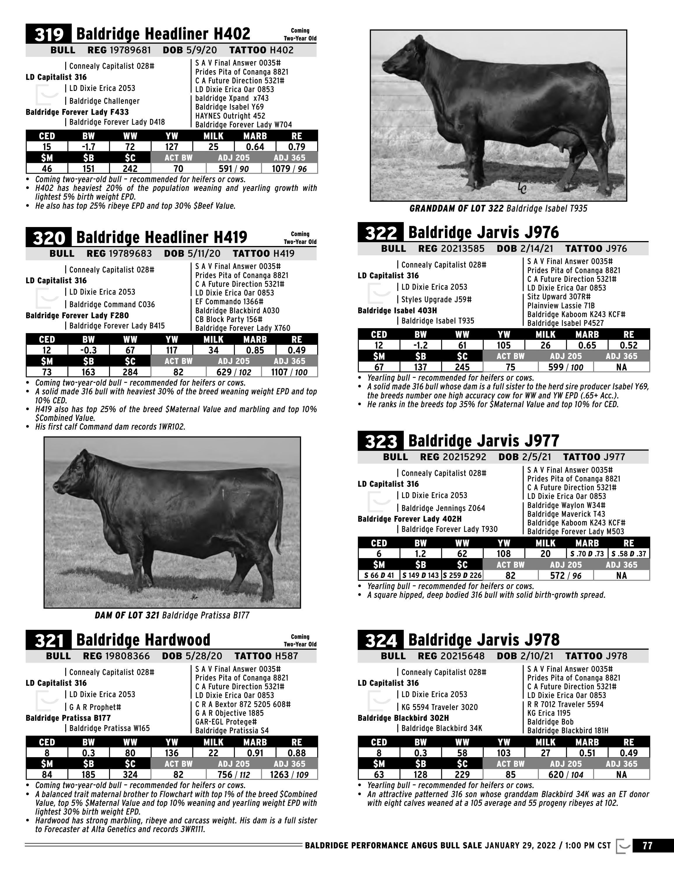 2022 Baldridge Performance Angus Bull Sale by Honor Ag Branding Issuu