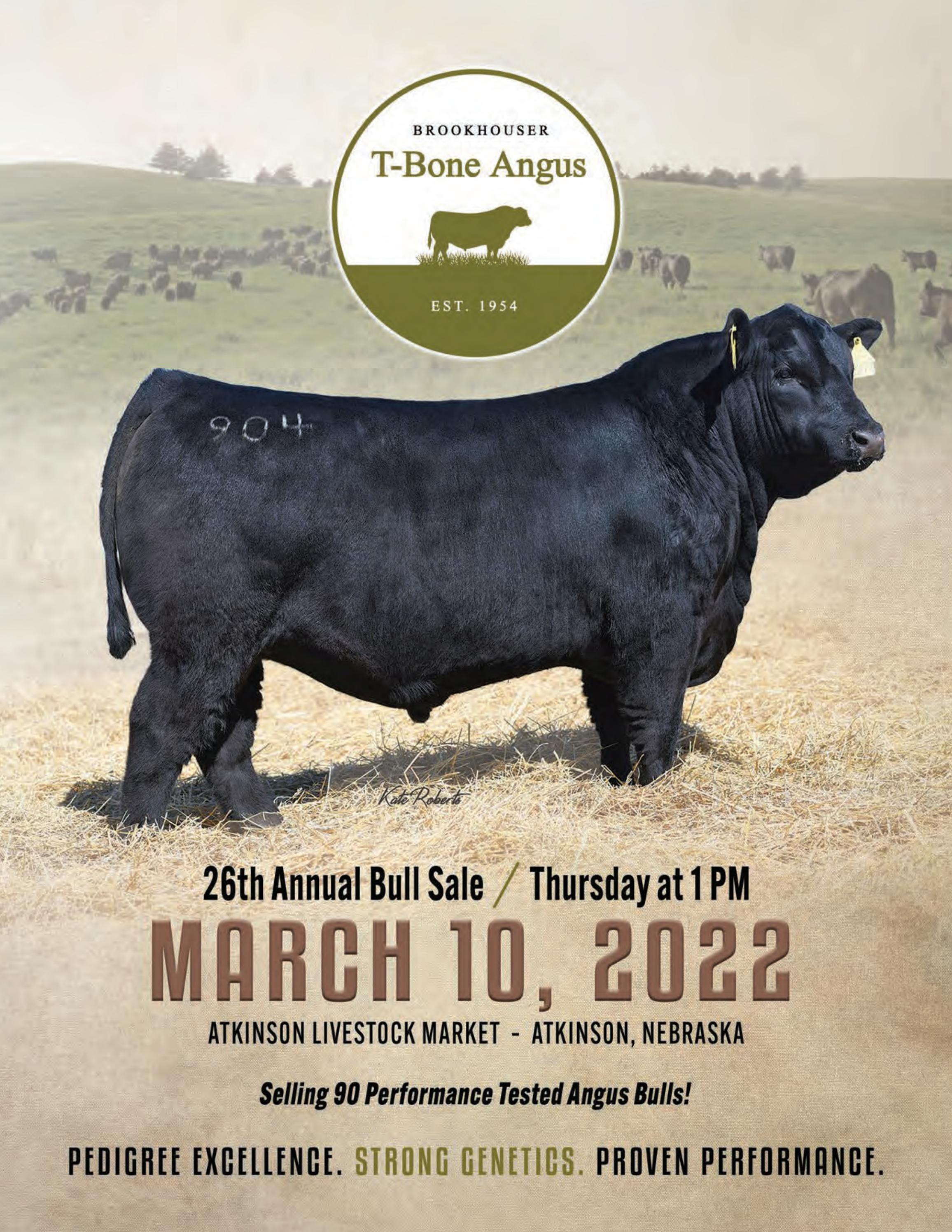 2022 TBone Angus Annual Bull Sale by Honor Ag Branding Issuu