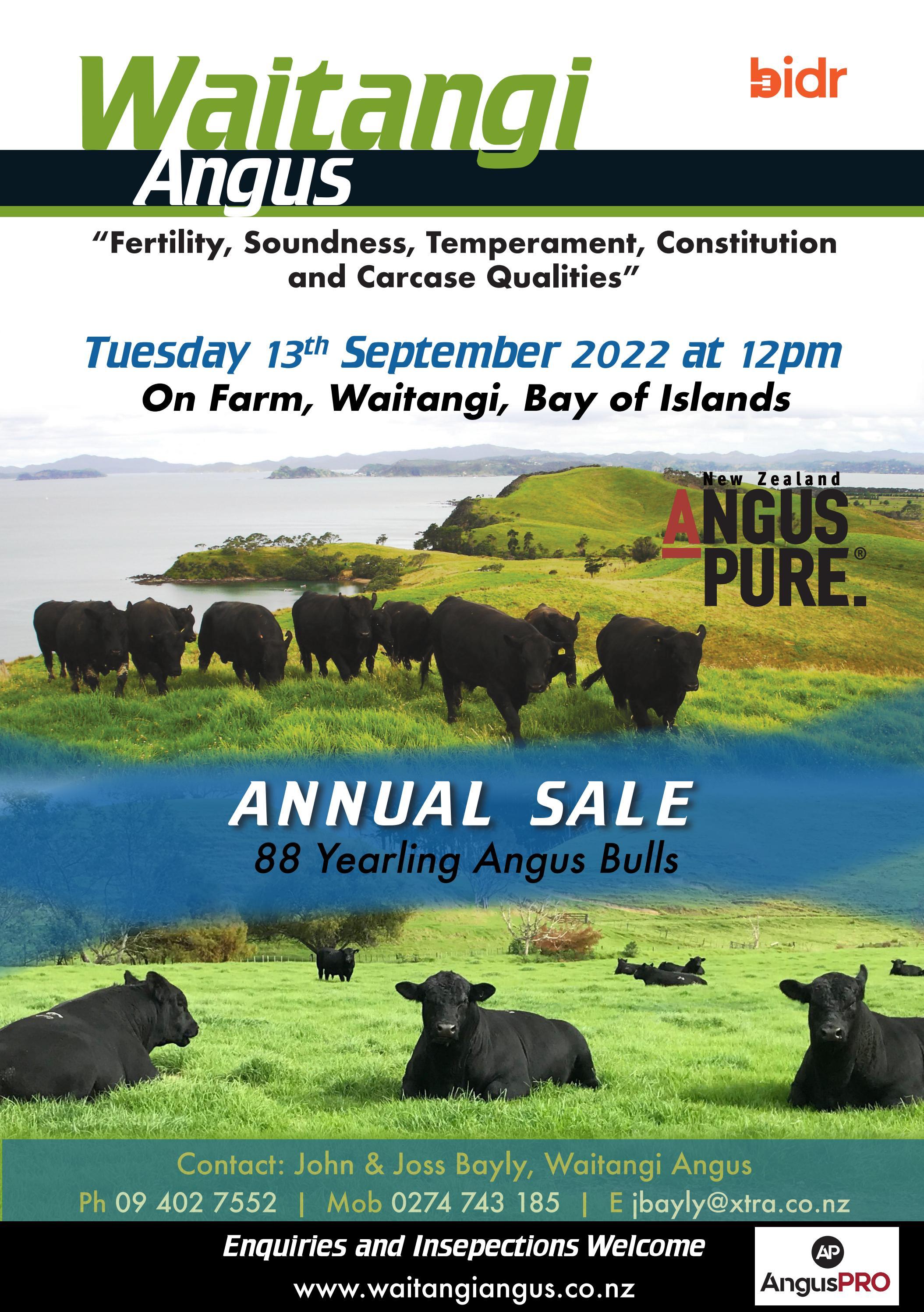 Waitangi Angus Yearling Bull Sale by Angus Australia Issuu