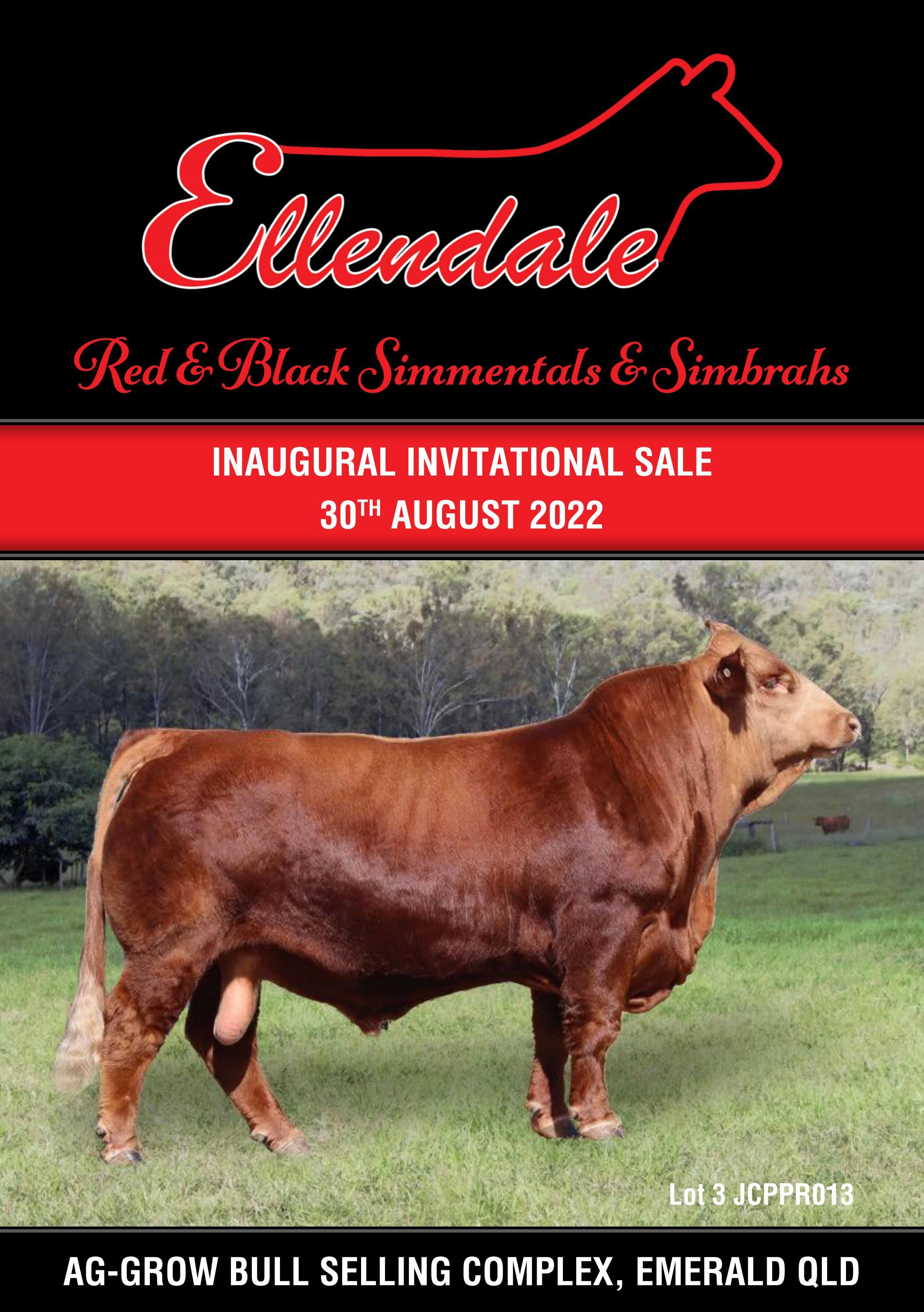 Ellendale Inaugural Invitational Sale 2022 by jennifer_impey Issuu