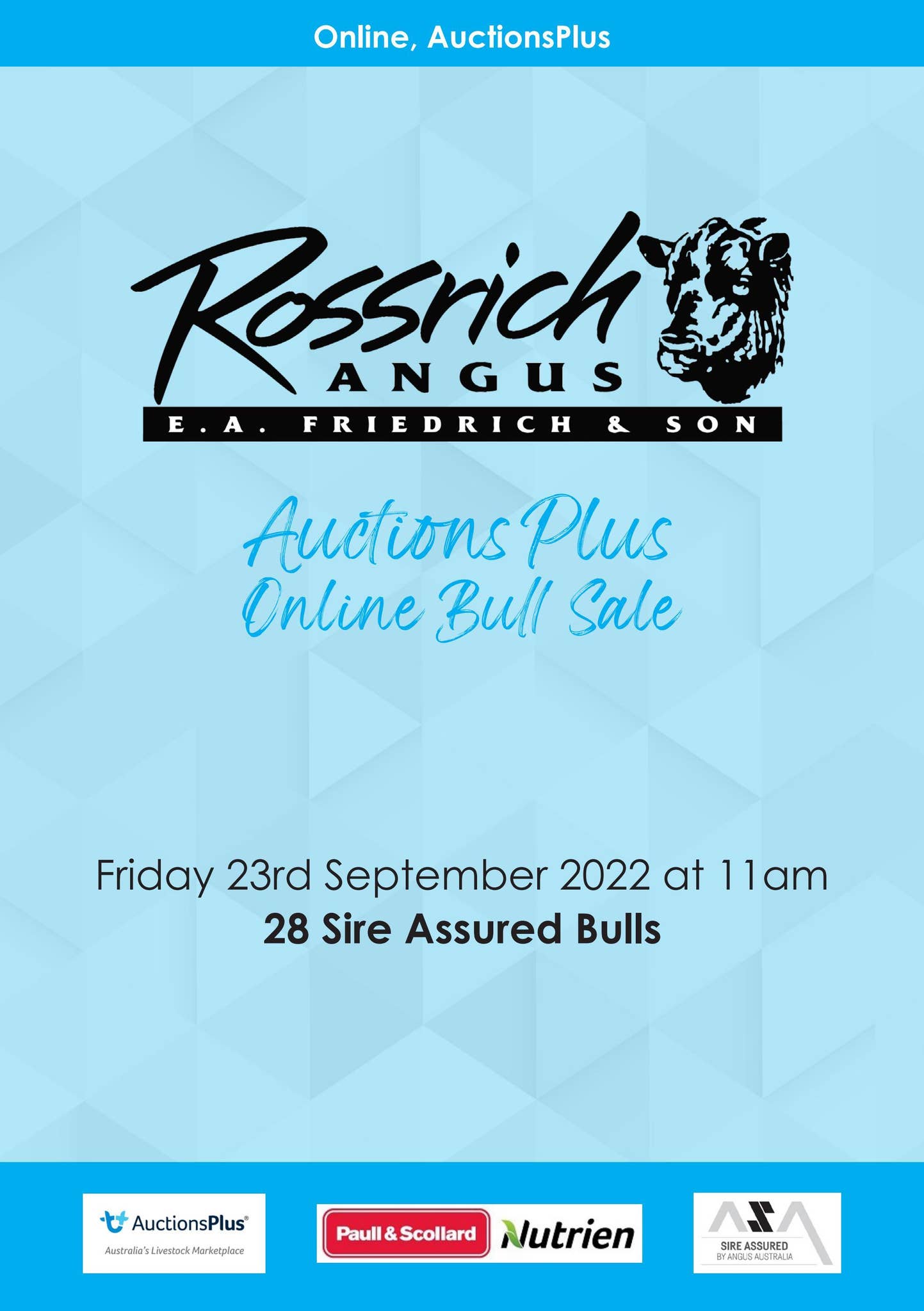 Rossrich Angus AuctionsPlus Online Bull Sale by Angus Australia - Issuu