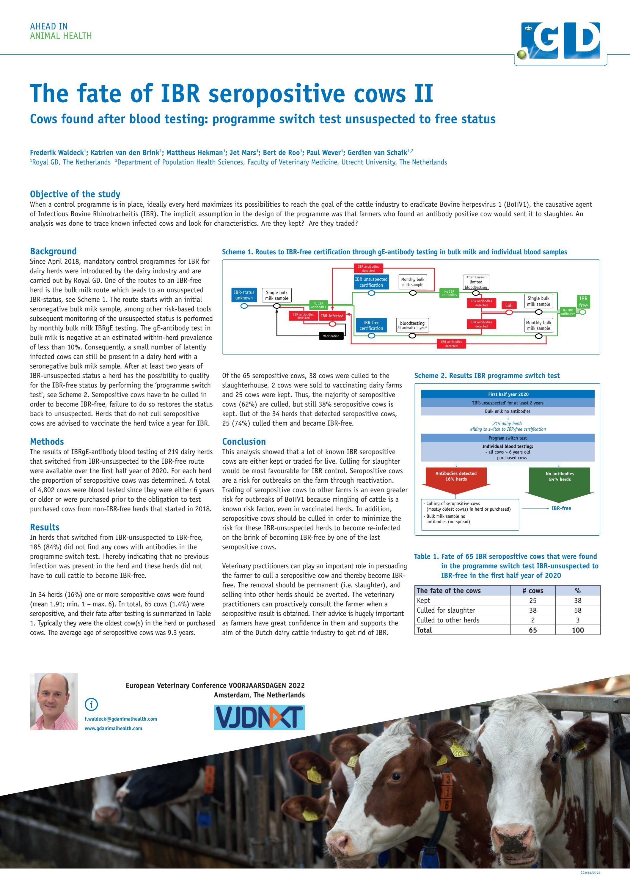 The fate of IBR seropositive cows II by Royal GD Issuu