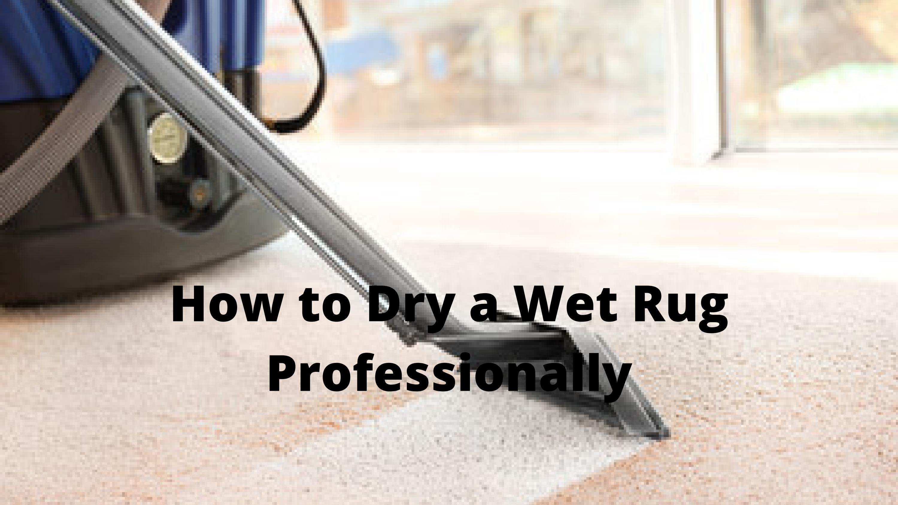 How to Dry a Wet Rug Professionally by premierrug Issuu