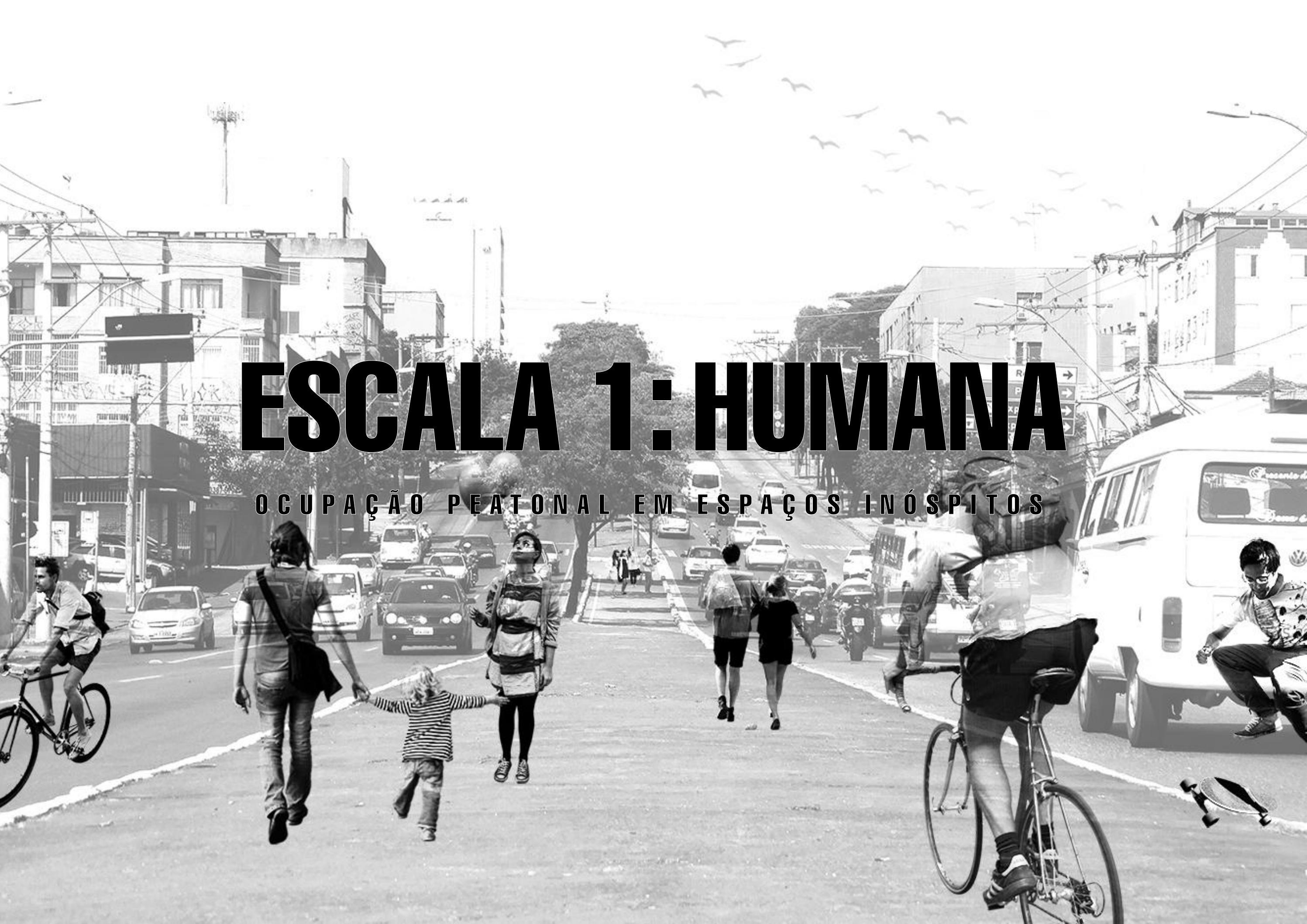escala-1-humana-by-jo-o-pedro-melo-issuu