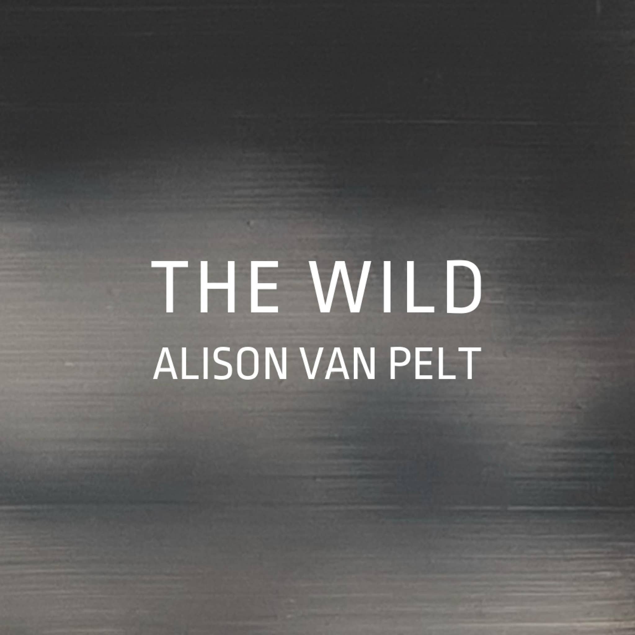 Alison Van Pelt Catalogue by CasterlineGoodman Gallery Issuu