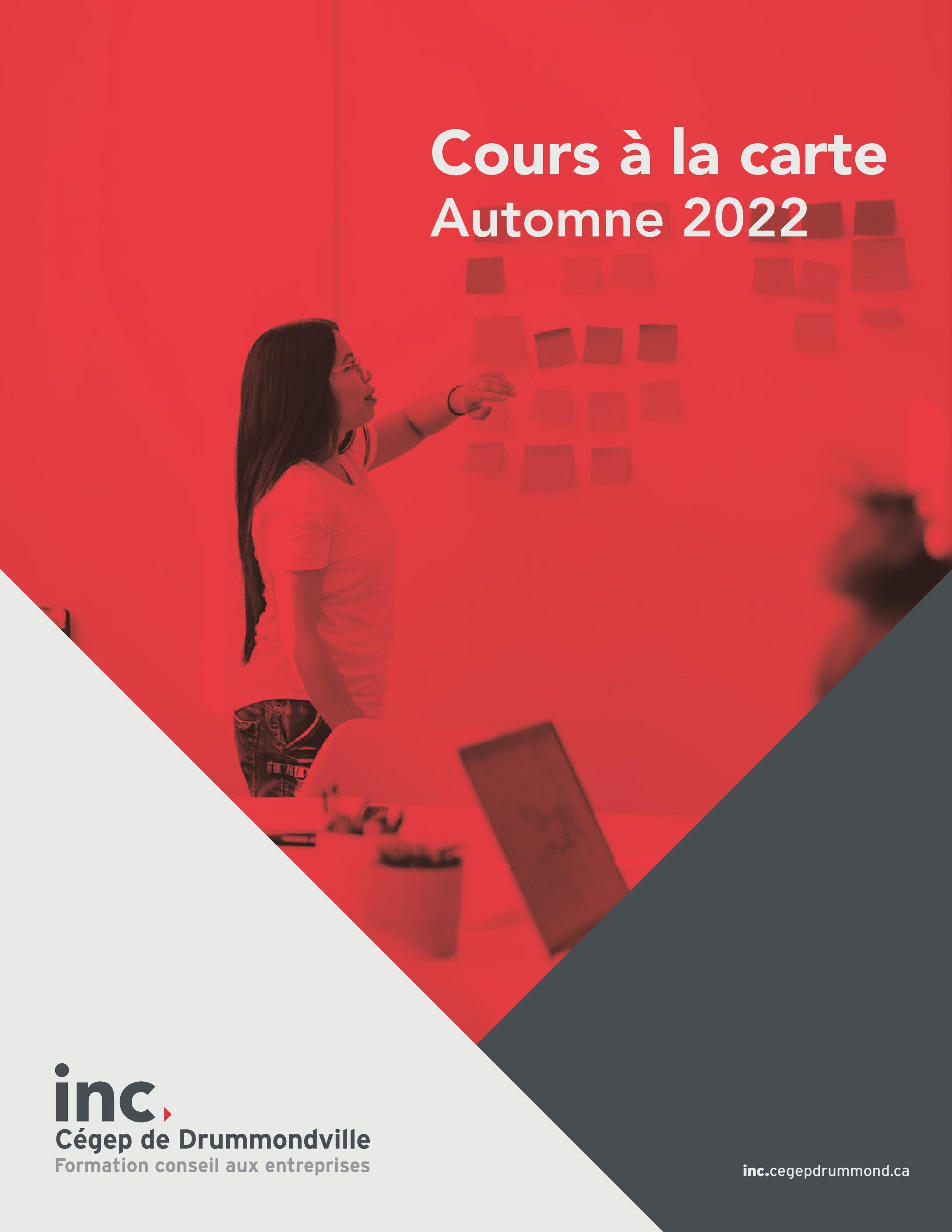 Cours à la carte inc A2022 by cegepdrummond Issuu