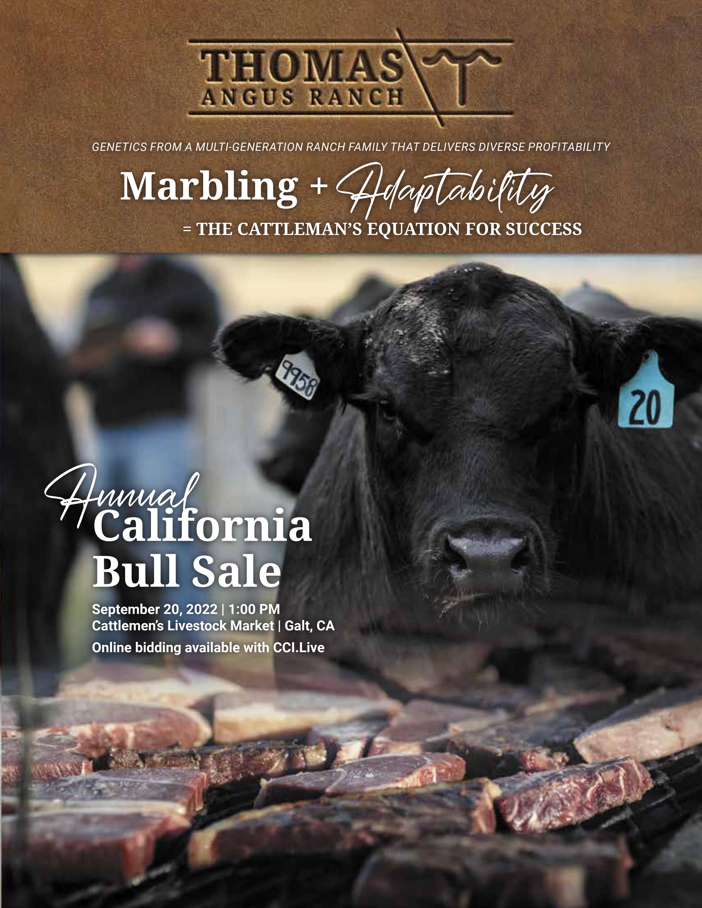 Thomas Angus Ranch California Bull Sale 2022 by Generation 6