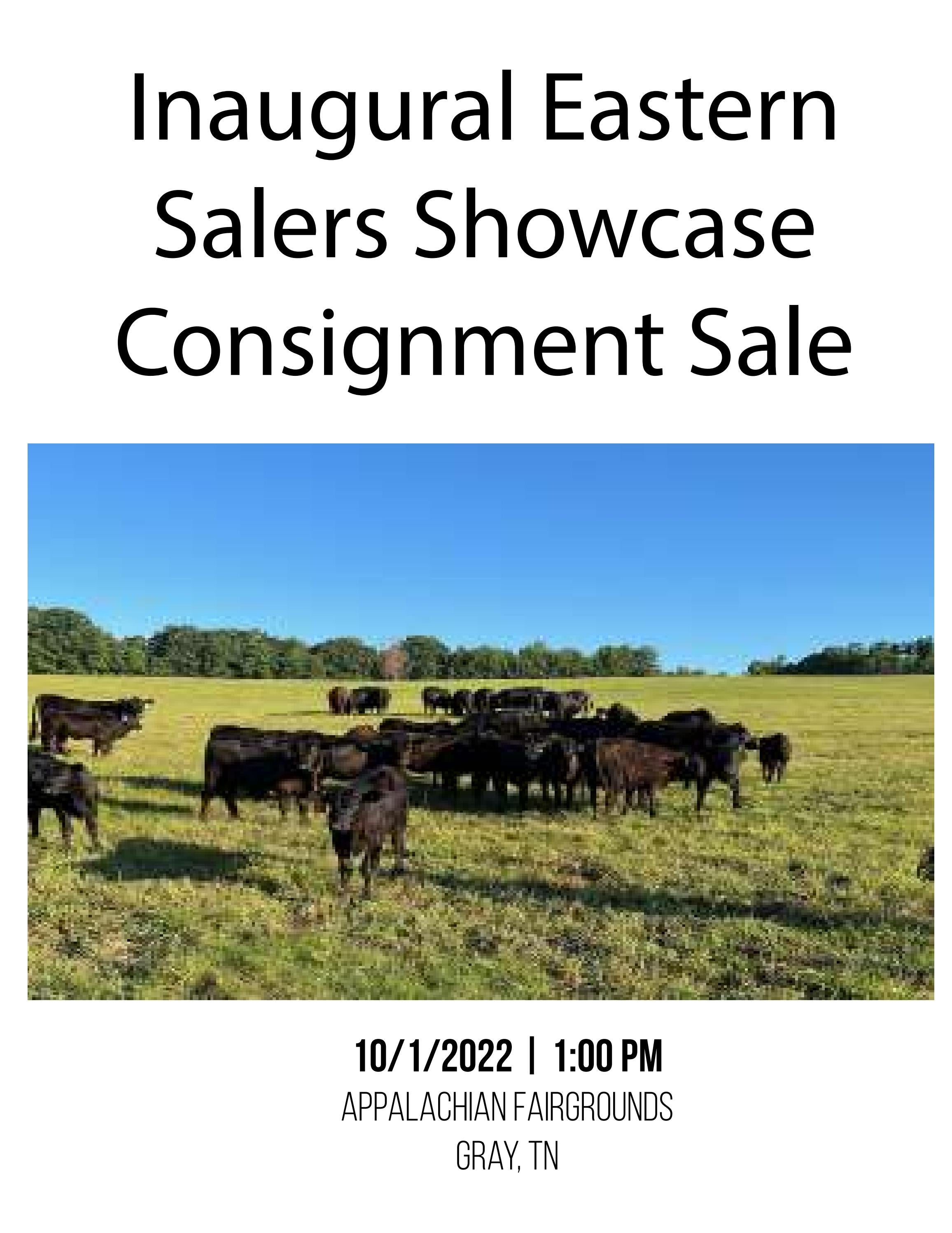 Inaugural Eastern Salers Showcase Consignment Sale by rockymeadowfarm