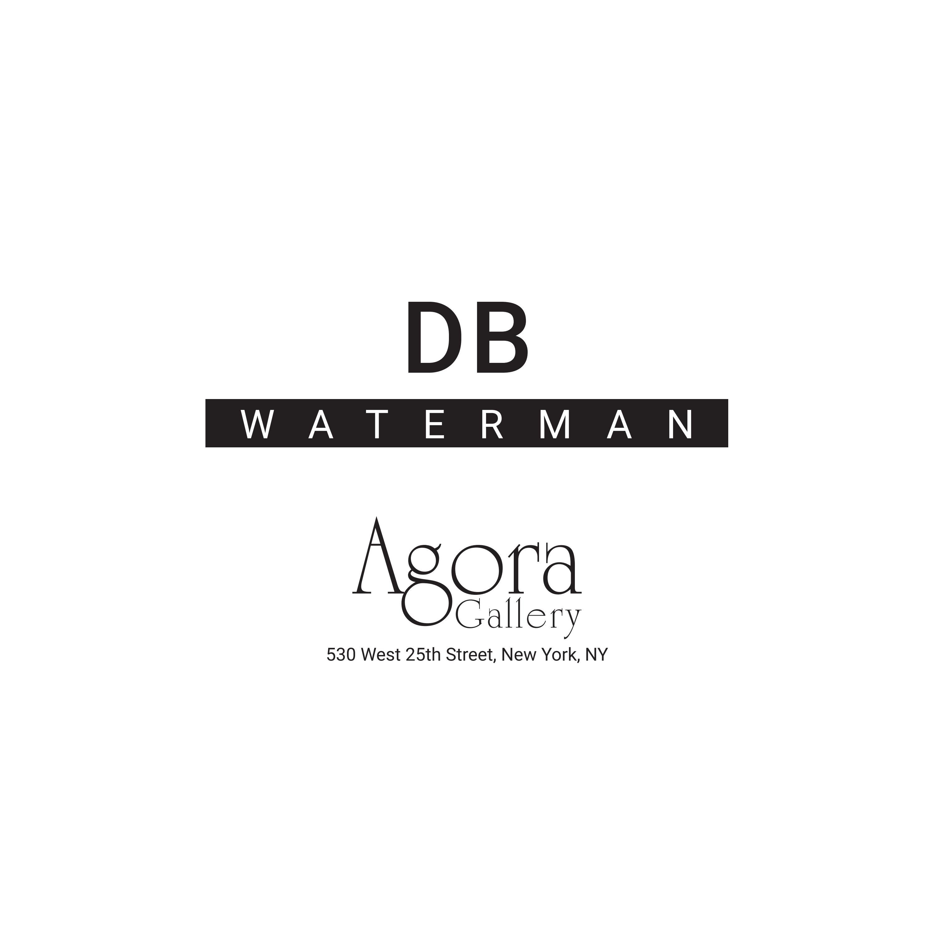DB Waterman Artist Catalog Agora Gallery by Agora Gallery Issuu