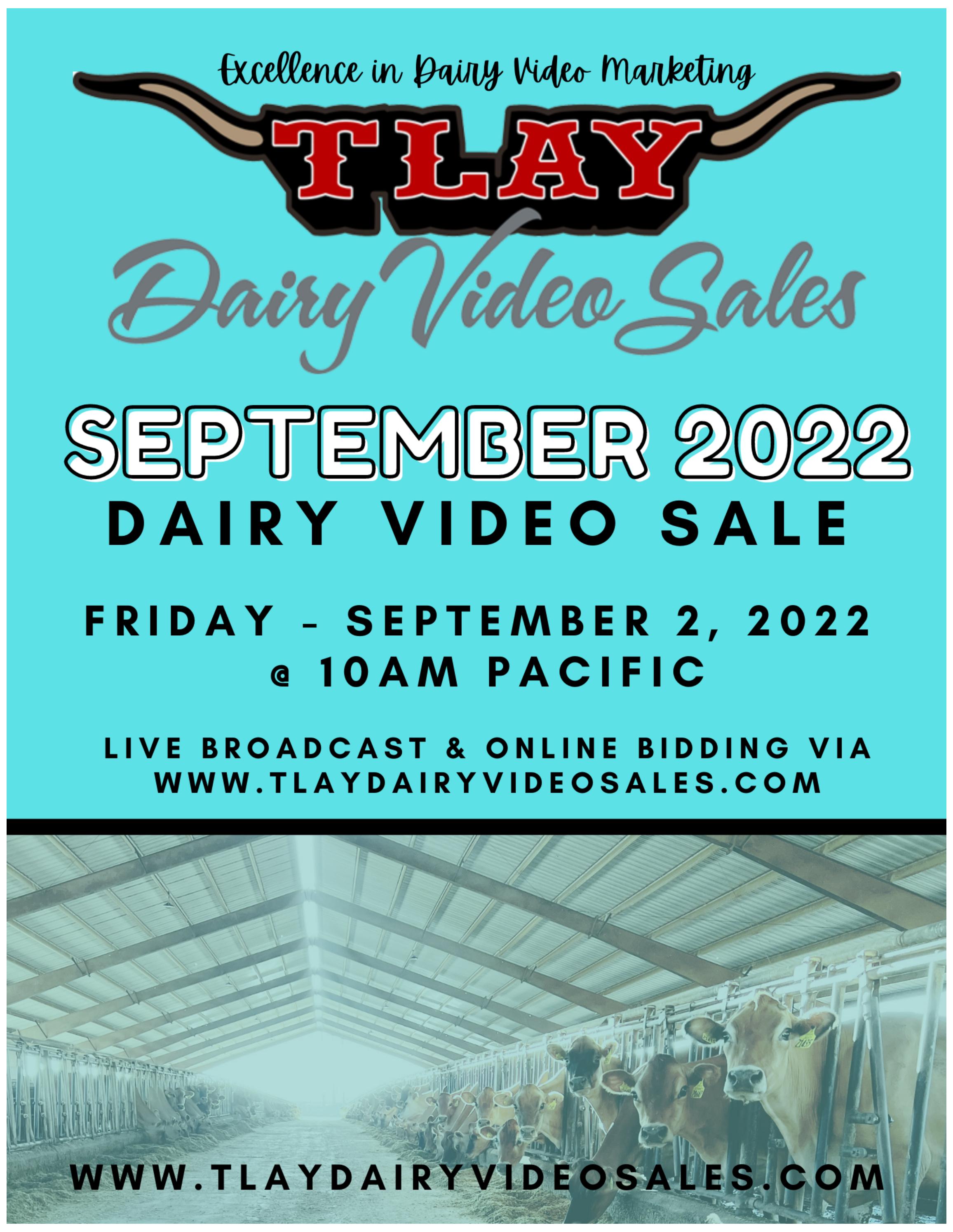 SEPTEMBER 2022 DVS CATALOG by TURLOCK LIVESTOCK AUCTION YARD Issuu