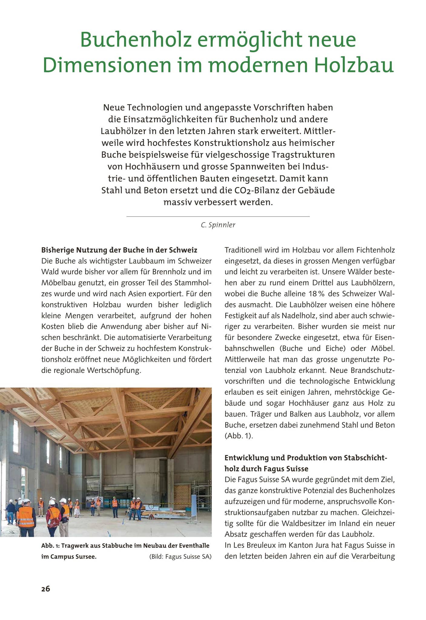 köstliches fensterblatt Fensterblatt (Monstera) XXL-Größe kaufen main image 1