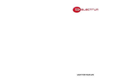 ELECTRUM - 灯饰目录 2022 第 2 页
