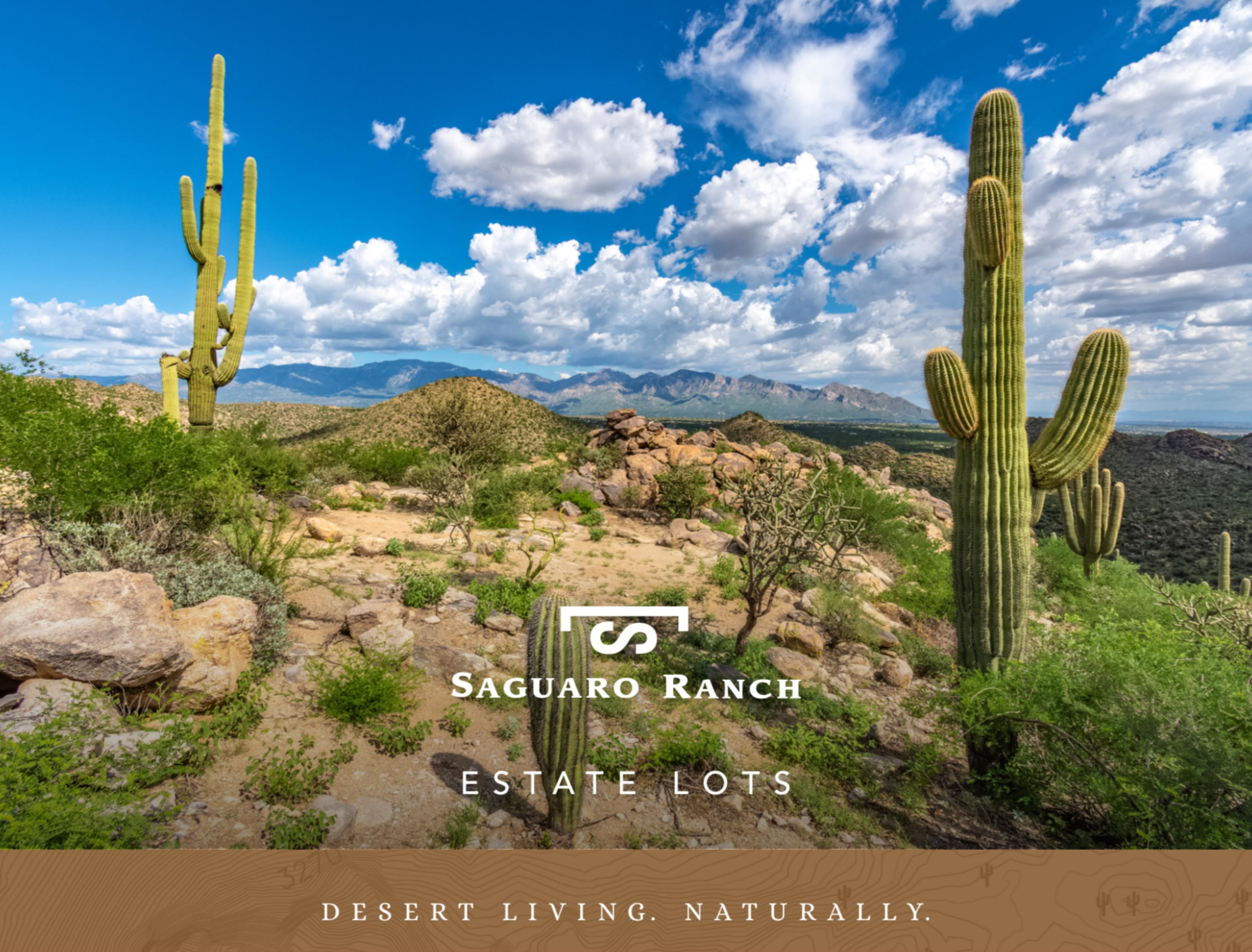 Saguaro Ranch Estate Lots 53, 56 & 68 by SaguaroRanch Issuu