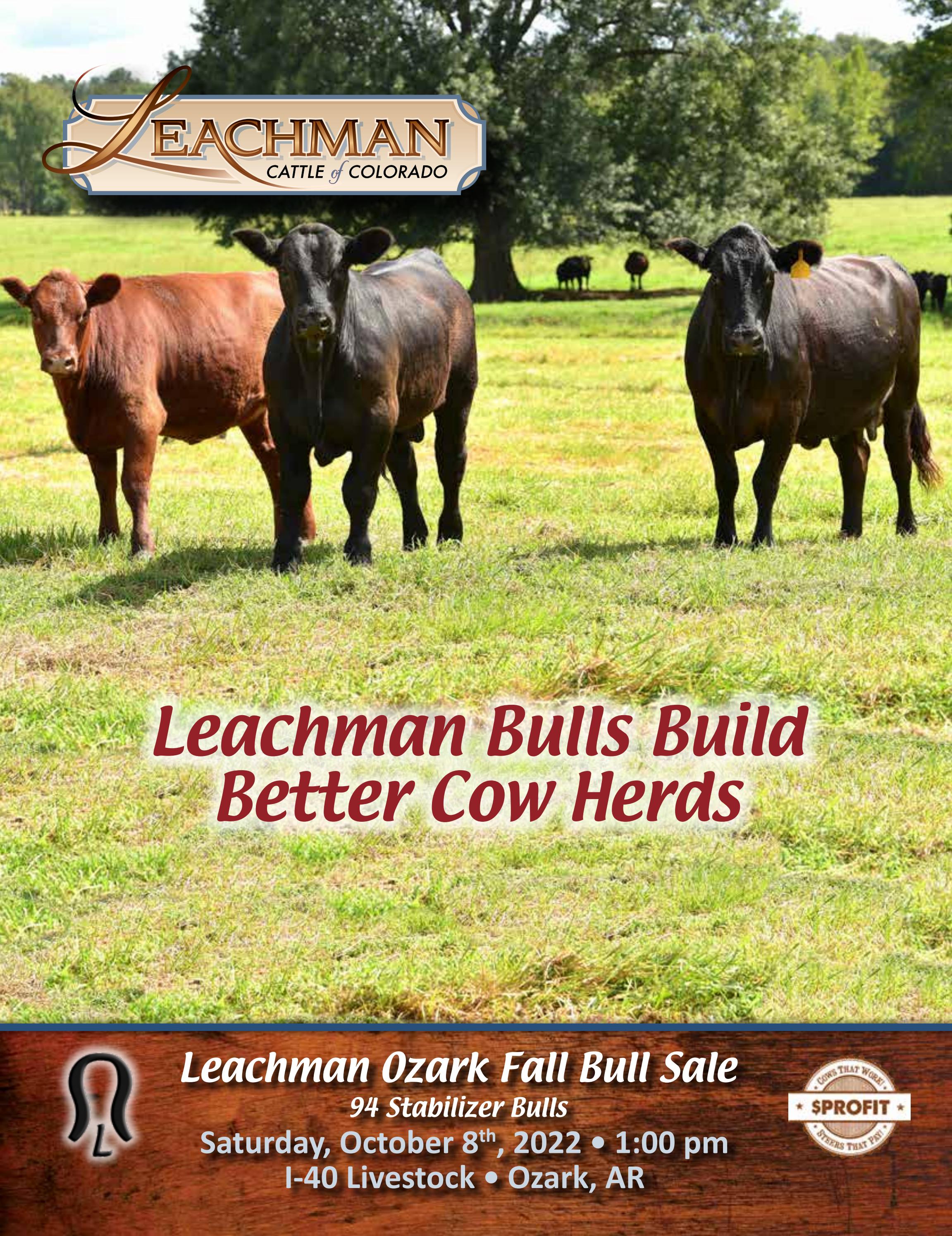 2022 Ozark Fall Bull Sale by Leachman Issuu