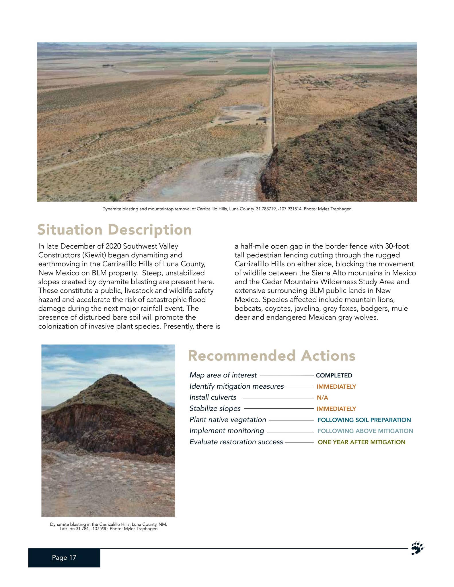 Border Wall Restoration Site Reports by Wildlands Network - Issuu