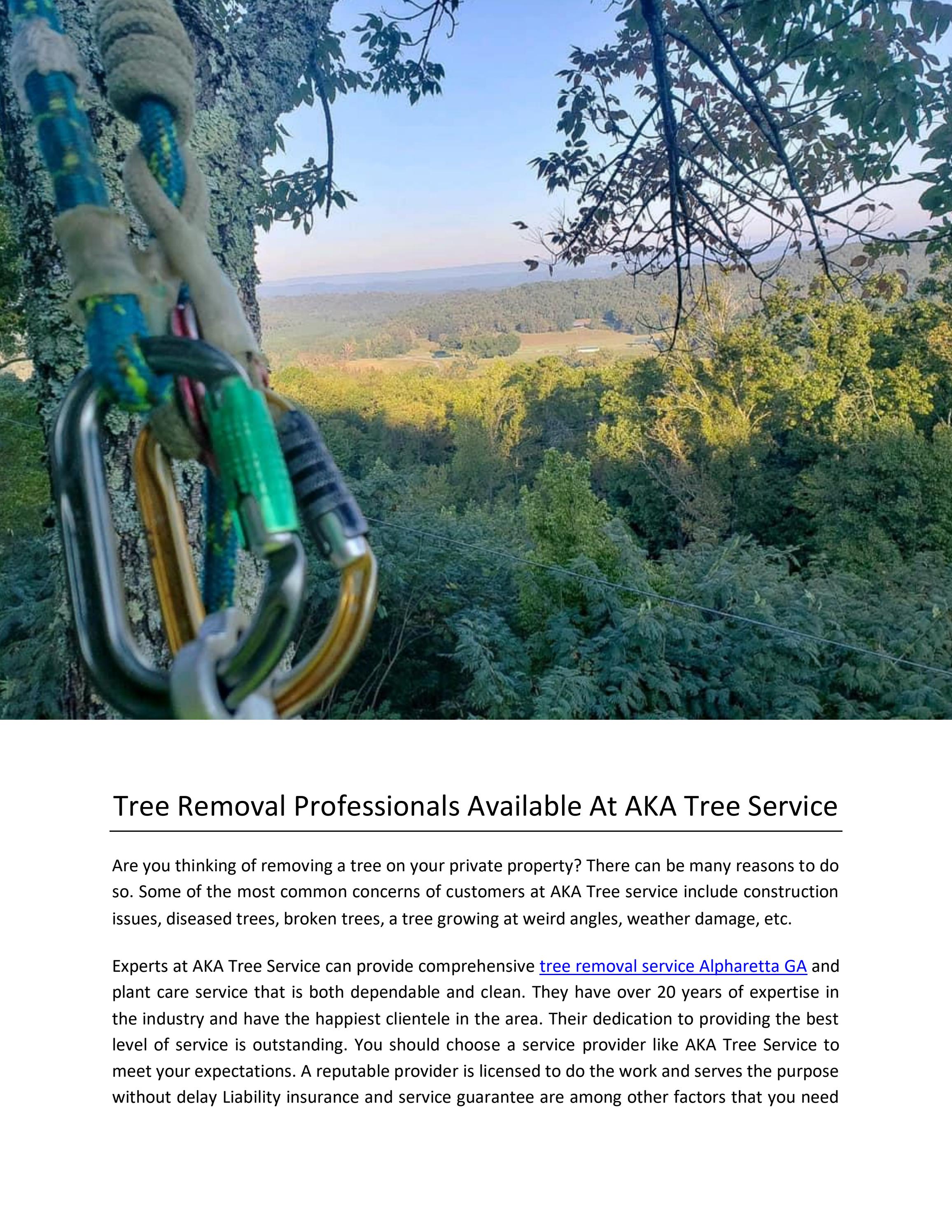 Tree Removal Professionals Available At AKA Tree Service by kriss