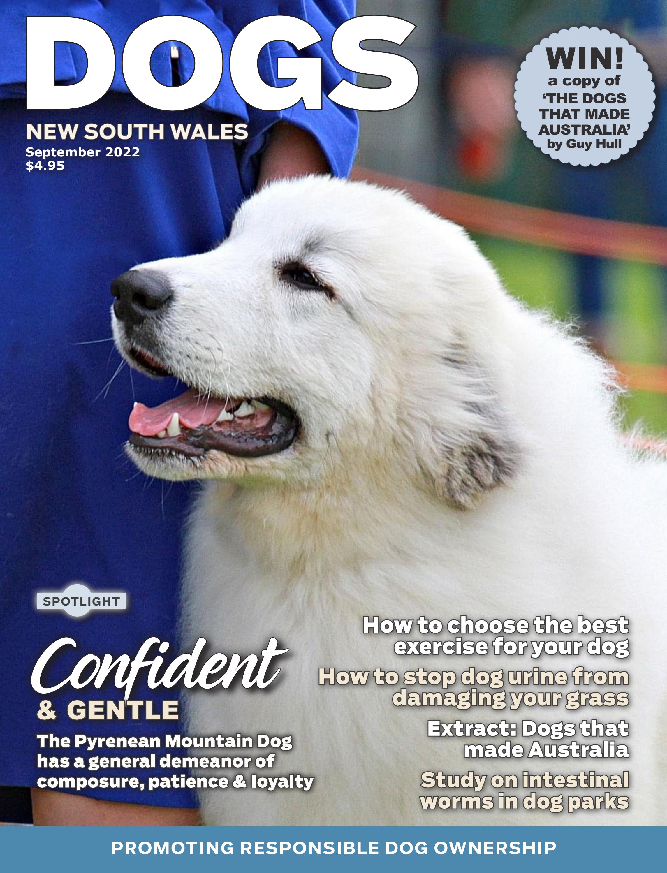 DOGS NSW September 2022 Magazine by dogsnsw Issuu