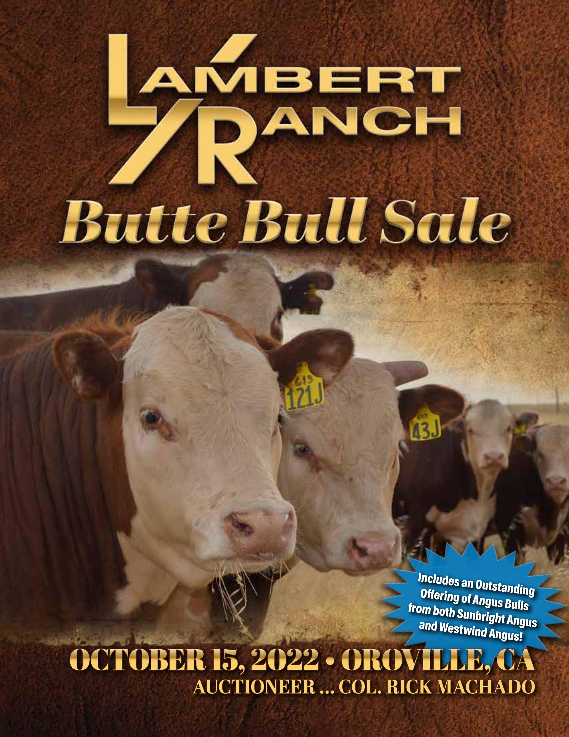 Lambert Ranch Butte Bull Sale 2022 by American Hereford Association and