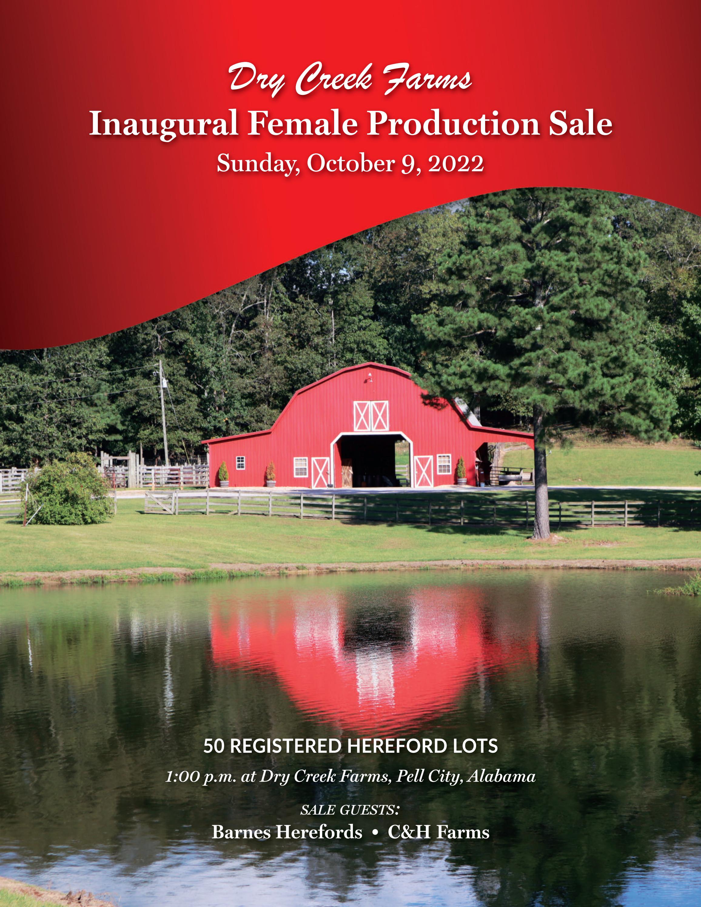 Dry Creek Farms Inaugural Female Production Sale by American Hereford