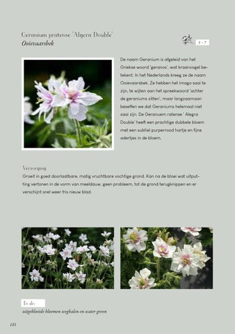 Page 181
