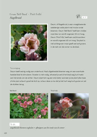 Page 185